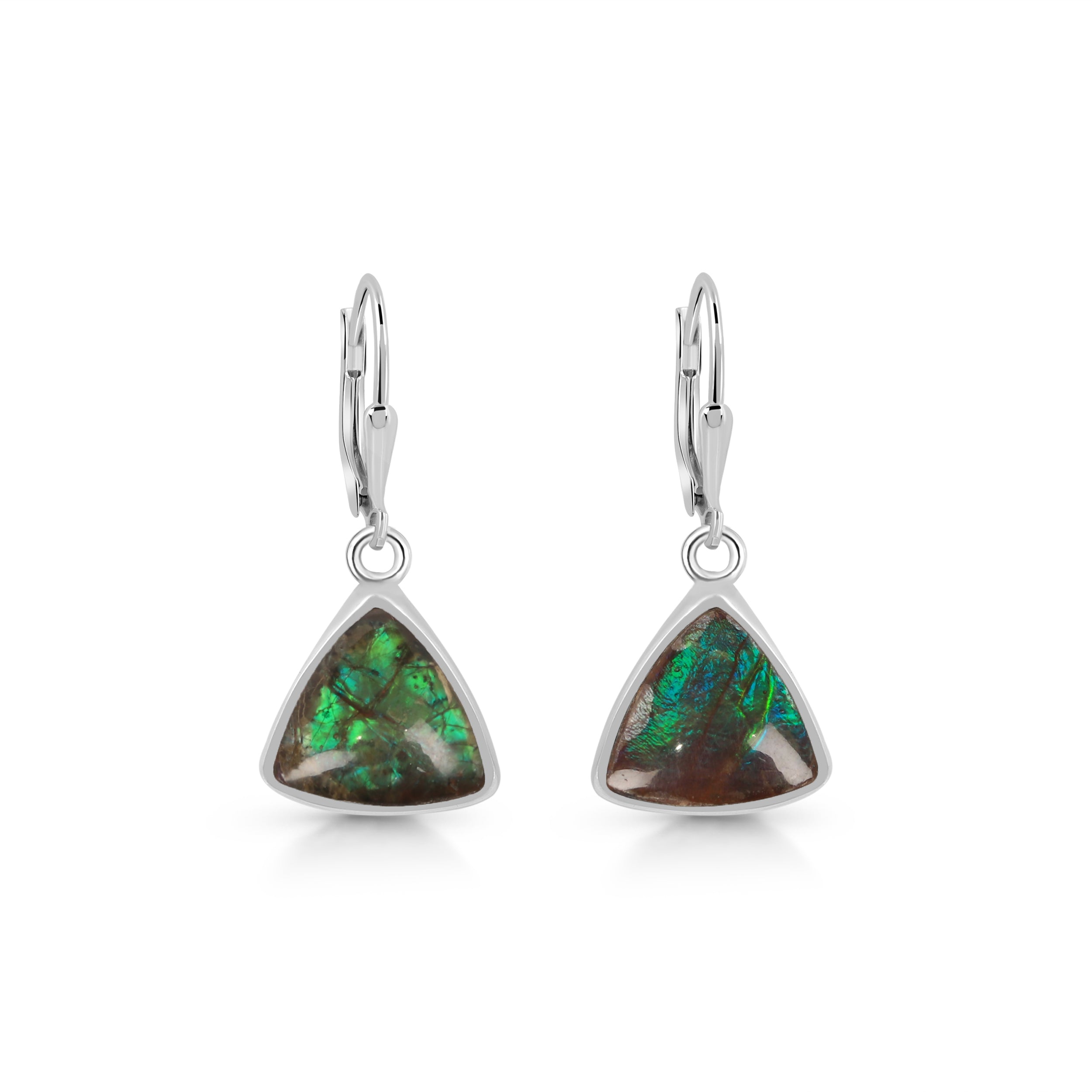 Ammolite Earring-(AML-E-1.)