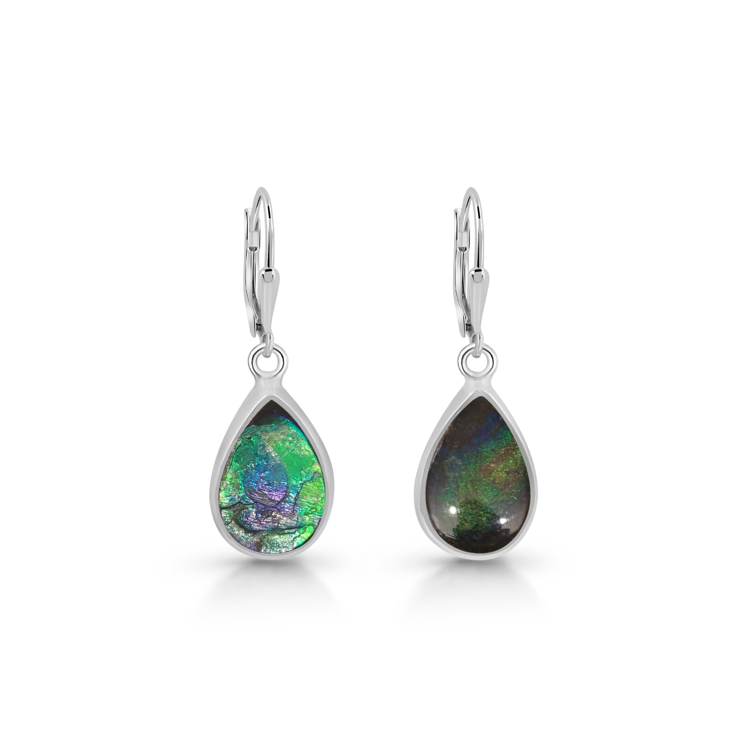 Ammolite Earring-(AML-E-14.)