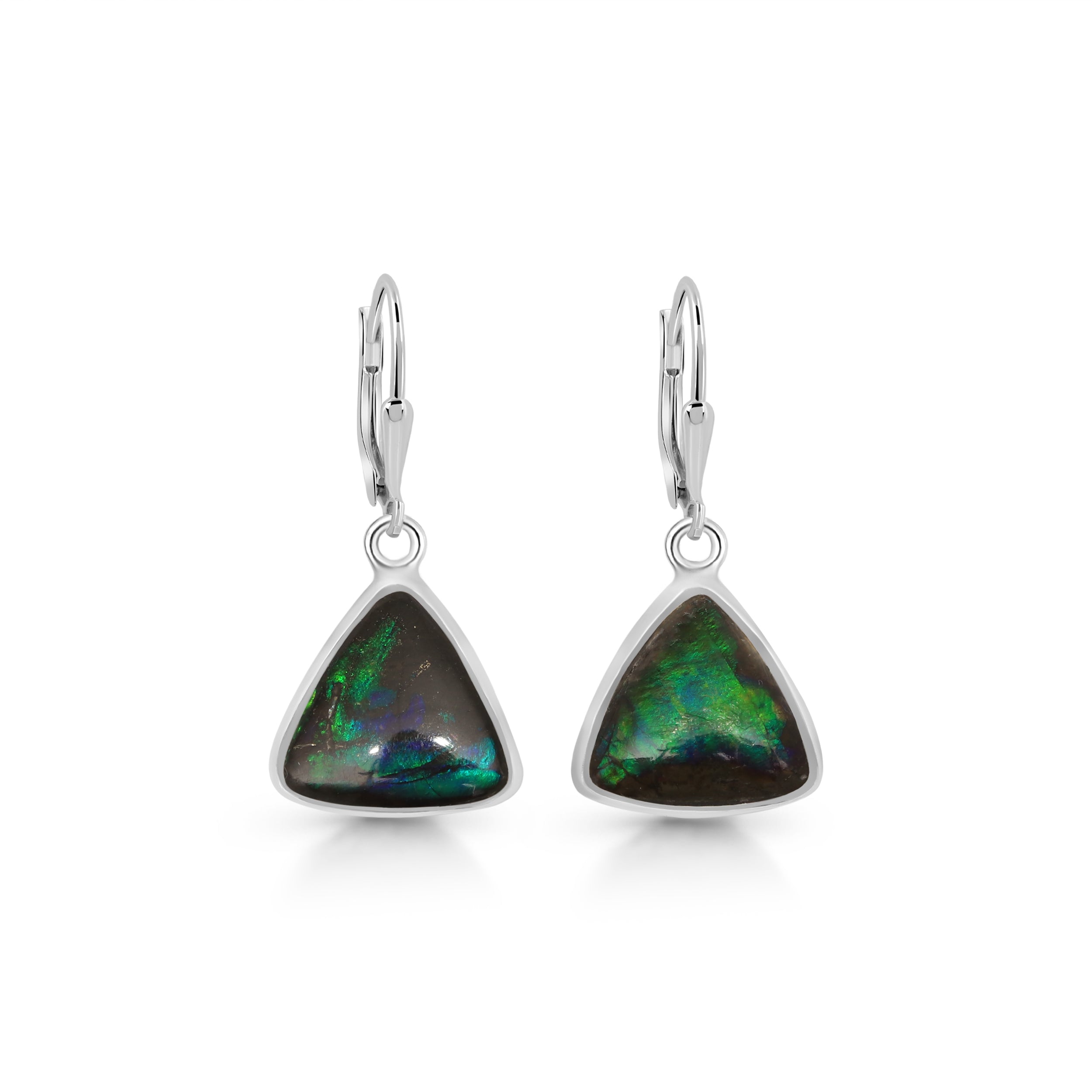 Ammolite Earring-(AML-E-16)
