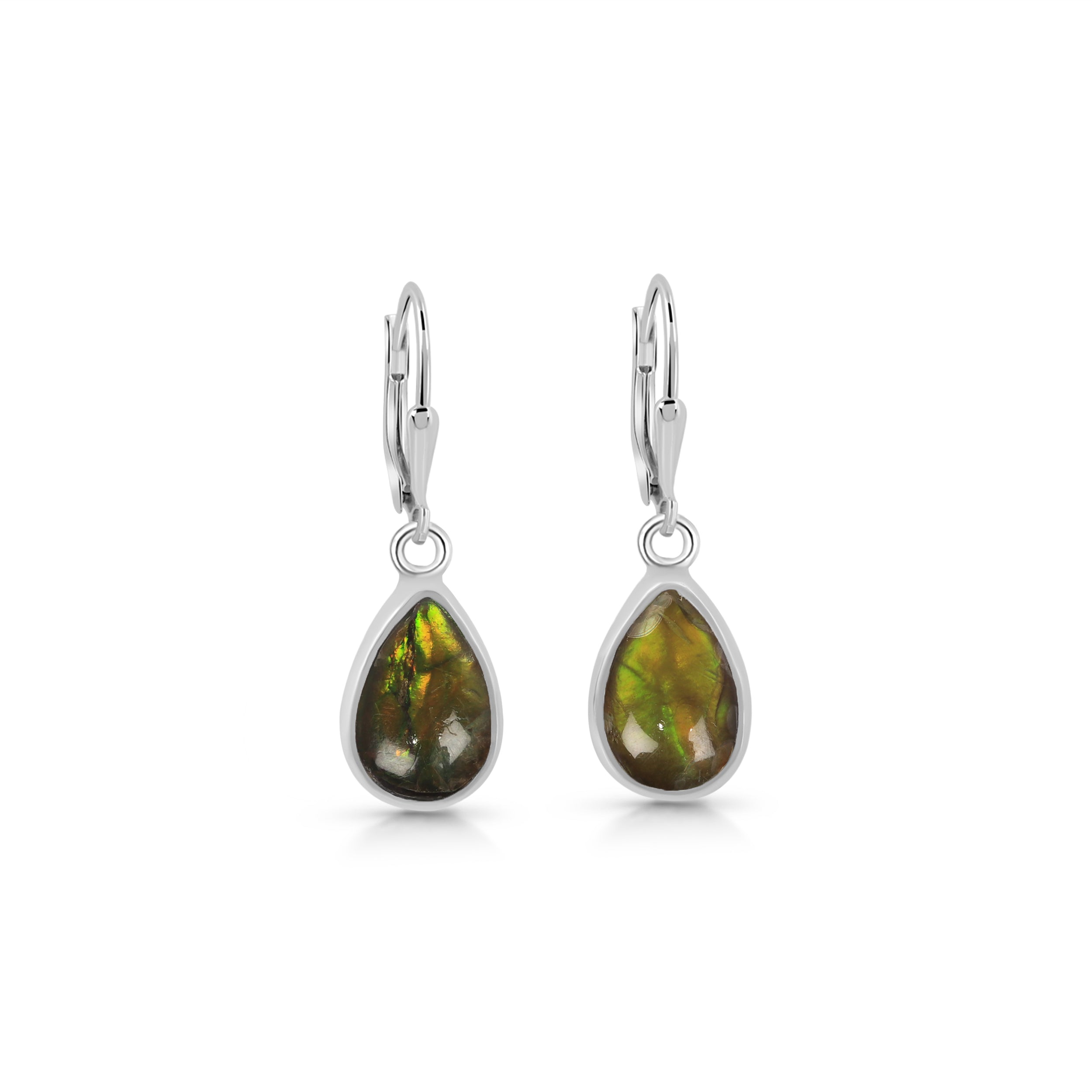 Ammolite Earring-(AML-E-2.)
