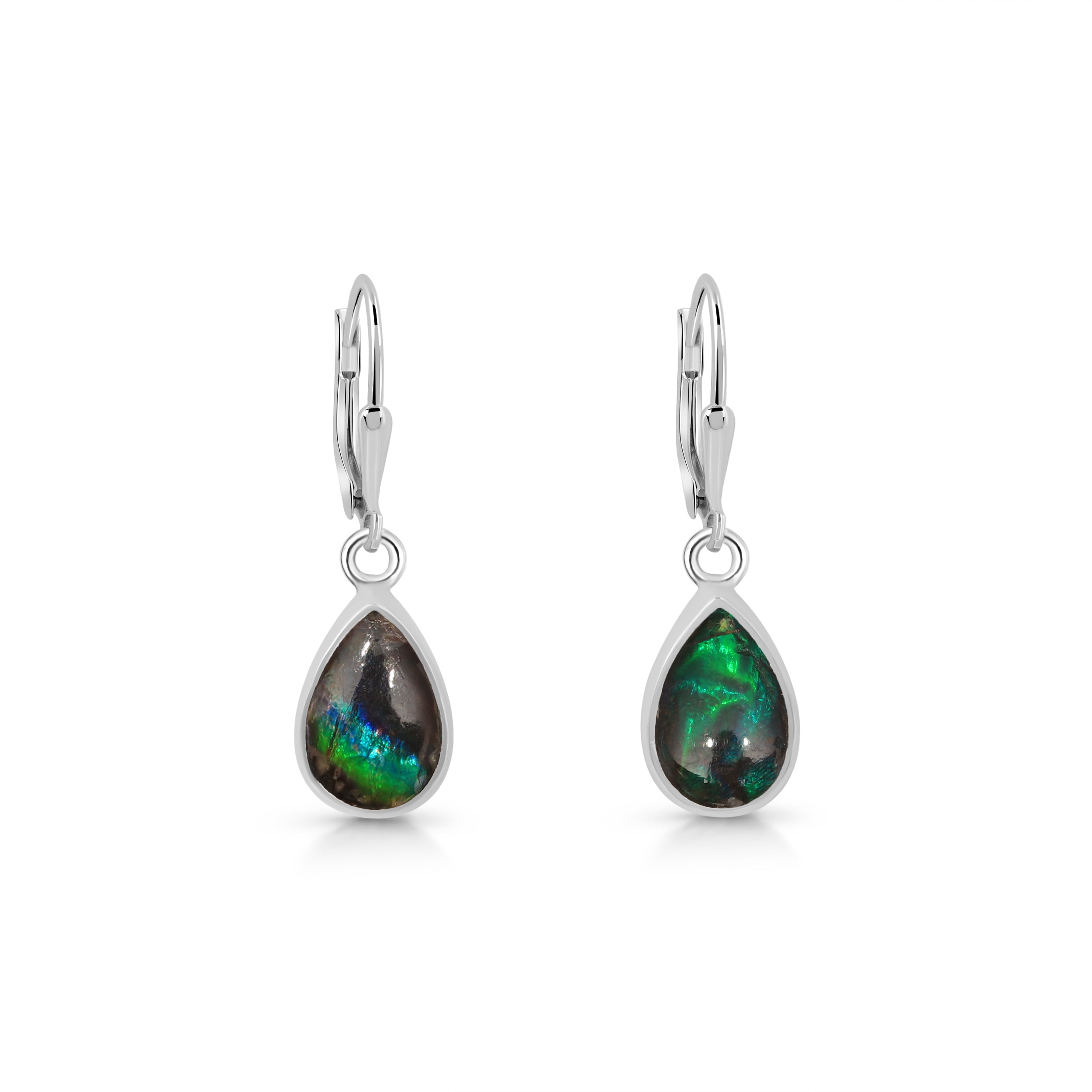 Ammolite Earring-(AML-E-5)