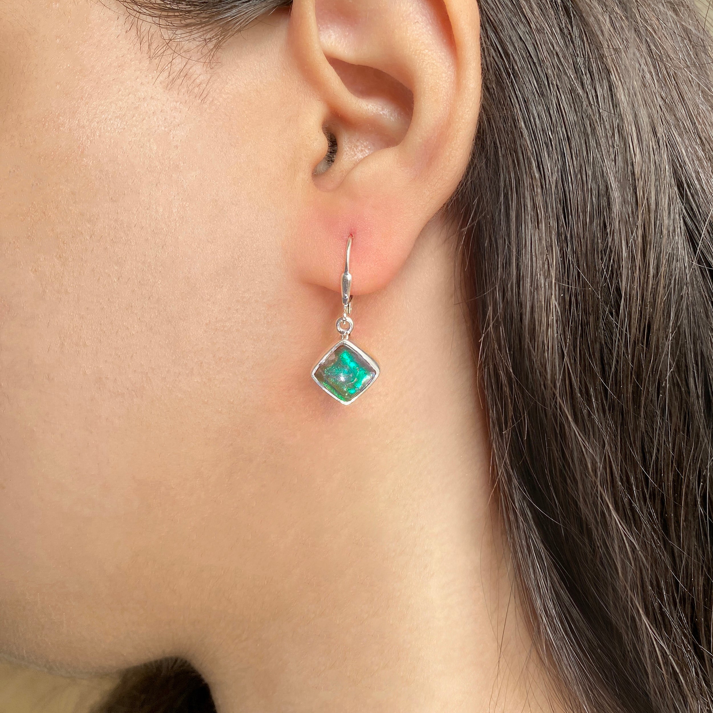 Ammolite Earring-(AML-E-6)