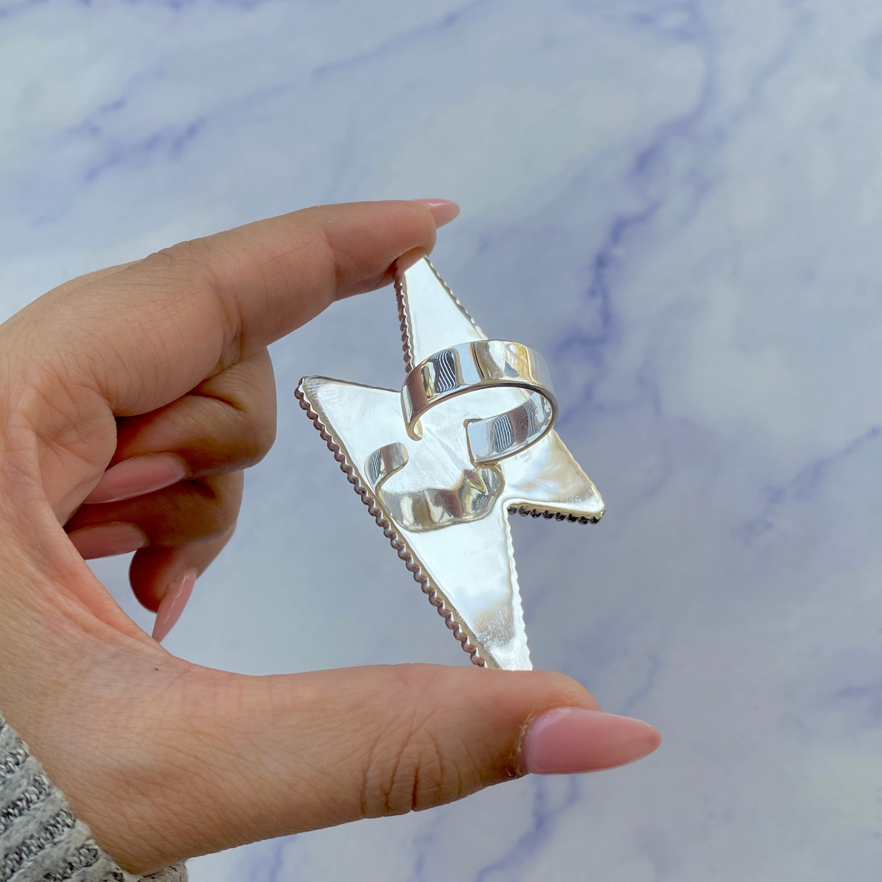 Thunderbolt Black Onyx Adjustable Ring-(BOX-R-53.)