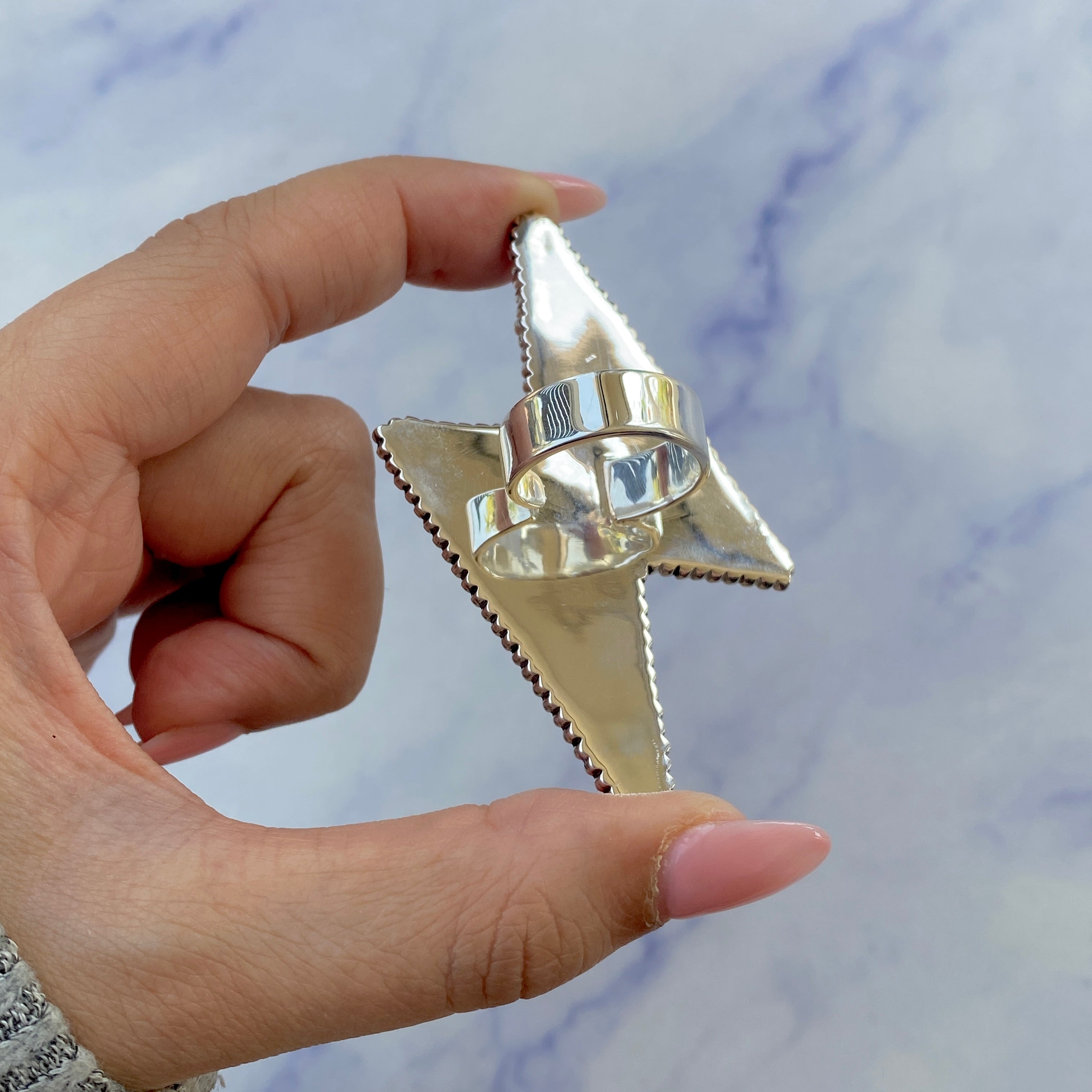 Thunderbolt Black Onyx Adjustable Ring-(BOX-R-64.)