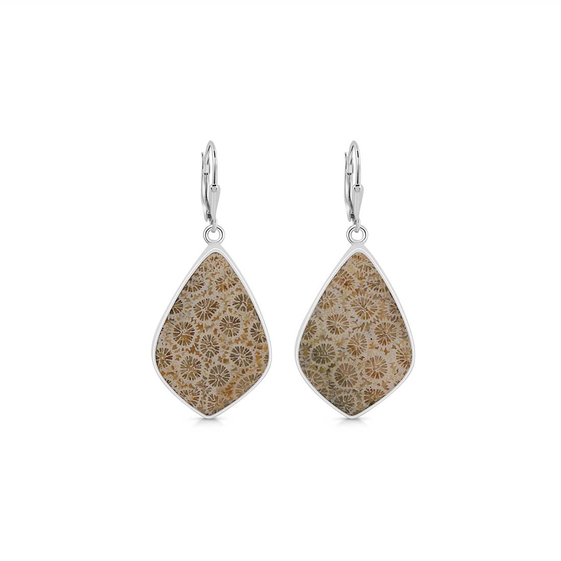 Fossilized Coral Earring-(FSC-E-11.)