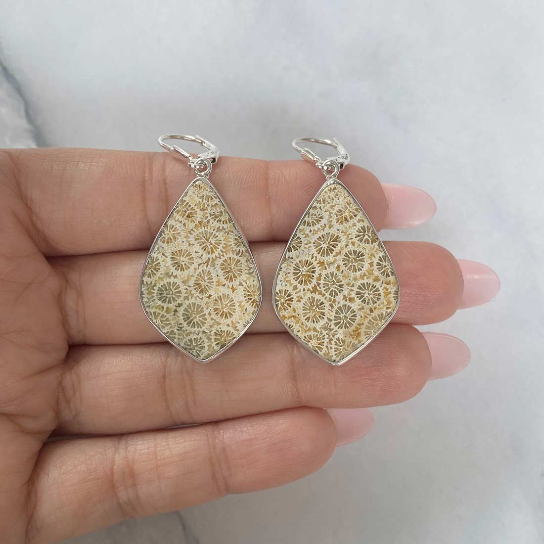 Fossilized Coral Earring-(FSC-E-11.)