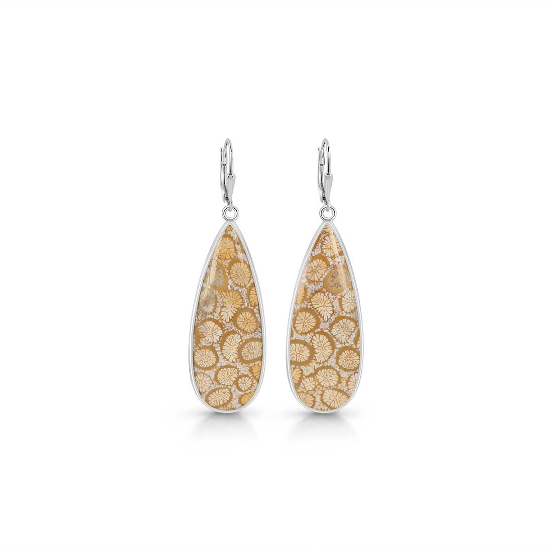 Fossilized Coral Earring-(FSC-E-13.)
