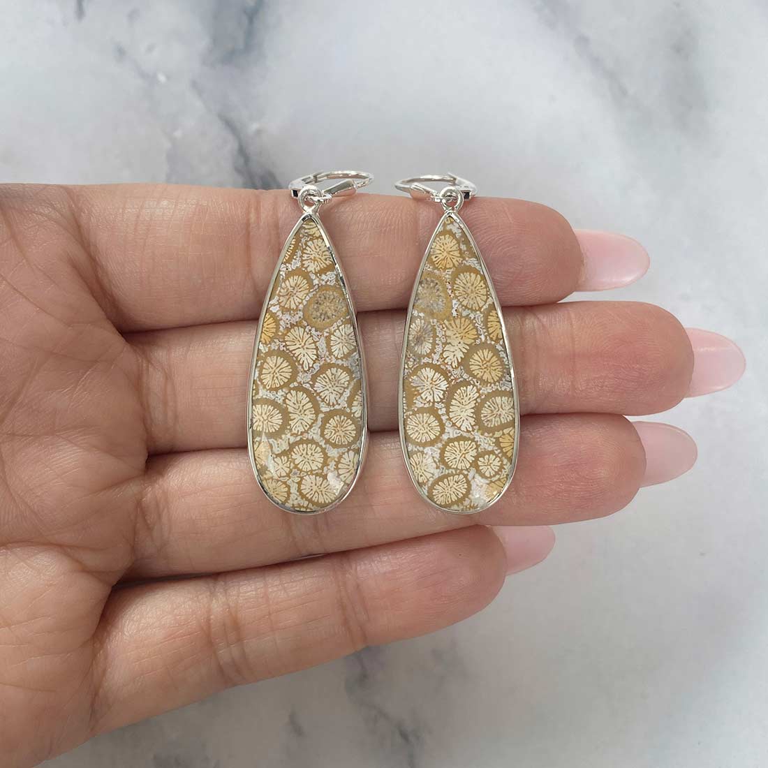 Fossilized Coral Earring-(FSC-E-13.)