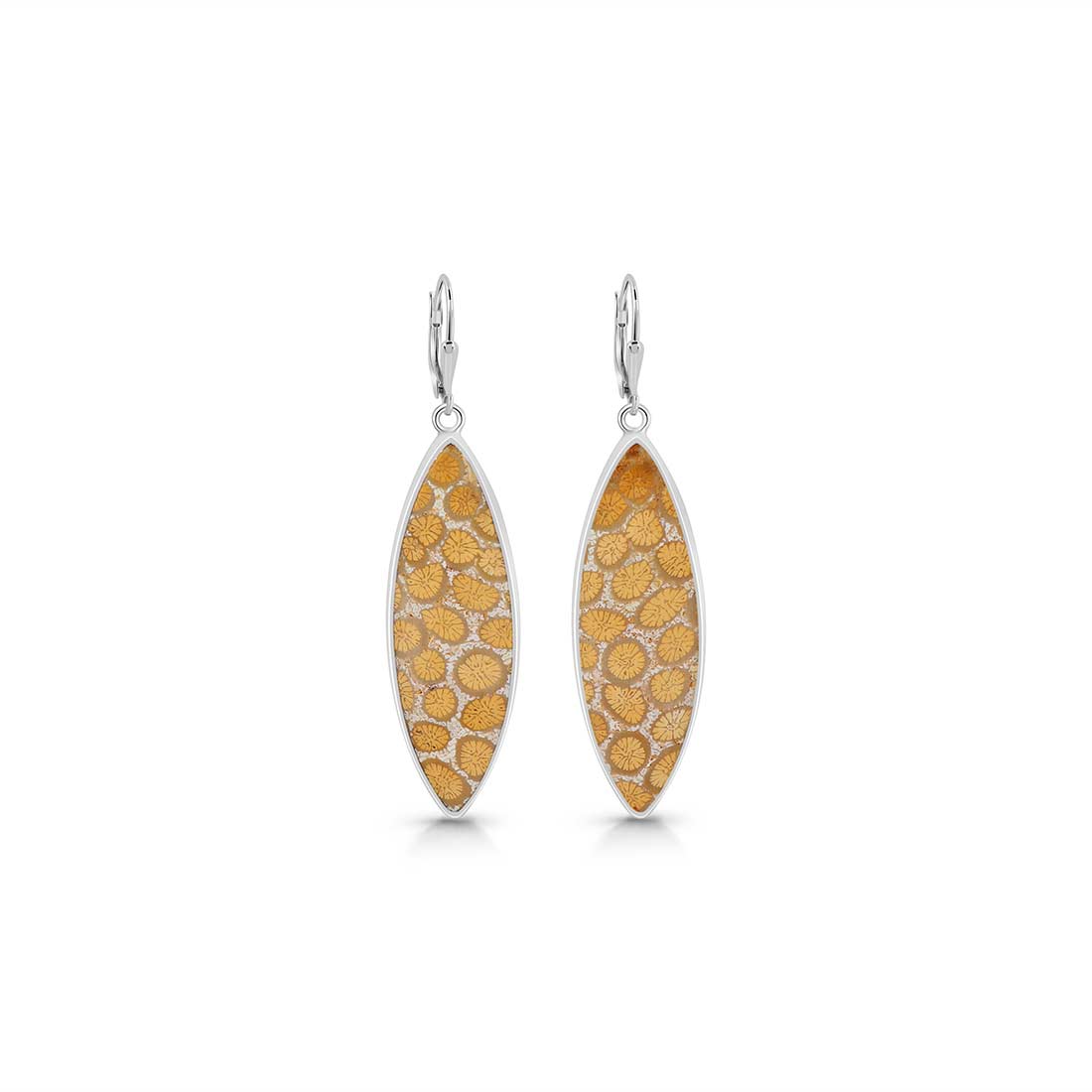 Fossilized Coral Earring-(FSC-E-14.)