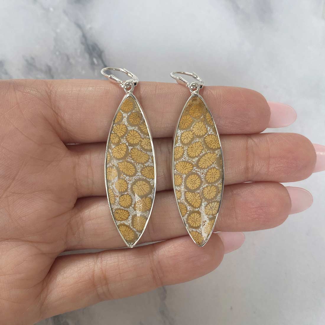 Fossilized Coral Earring-(FSC-E-14.)