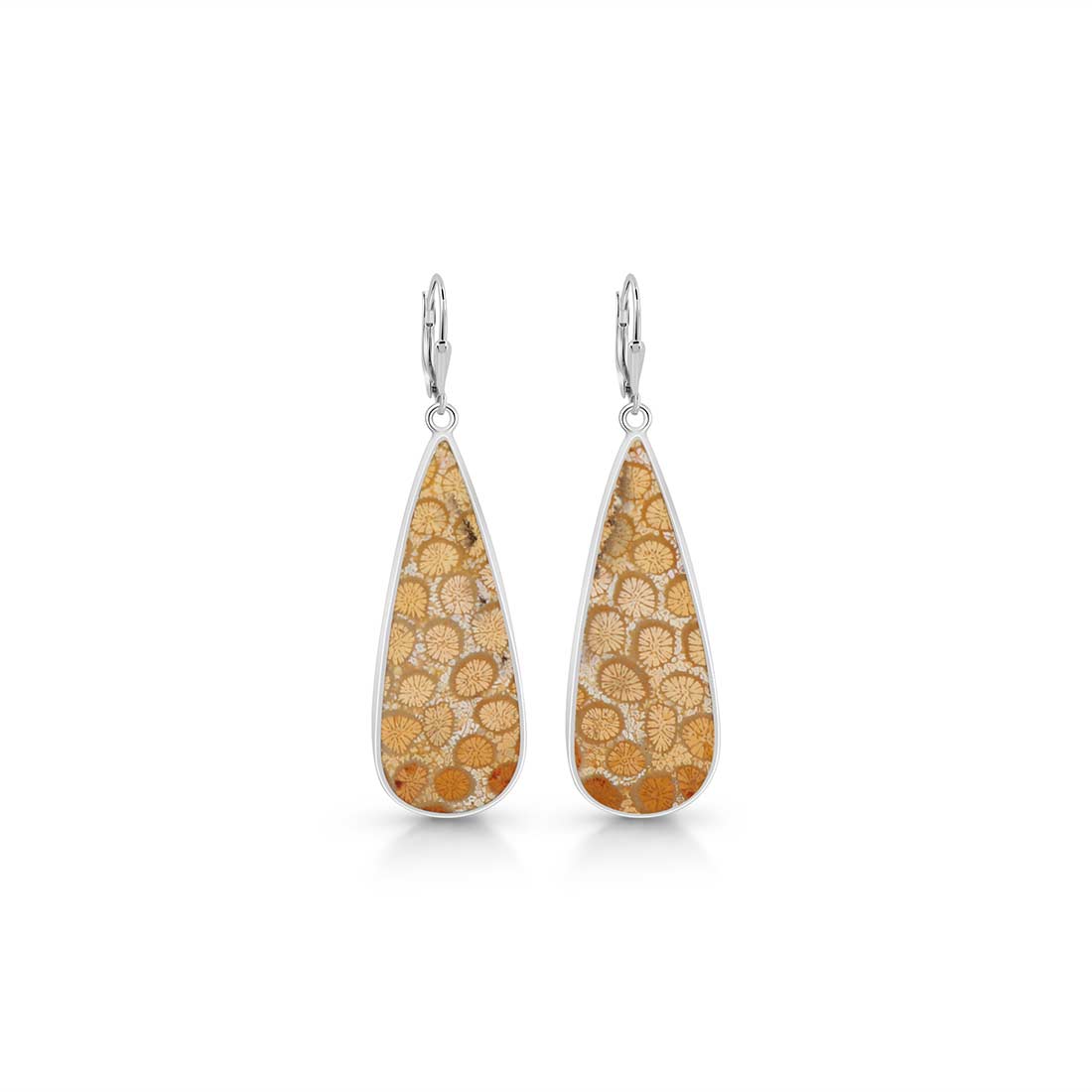 Fossilized Coral Earring-(FSC-E-15.)