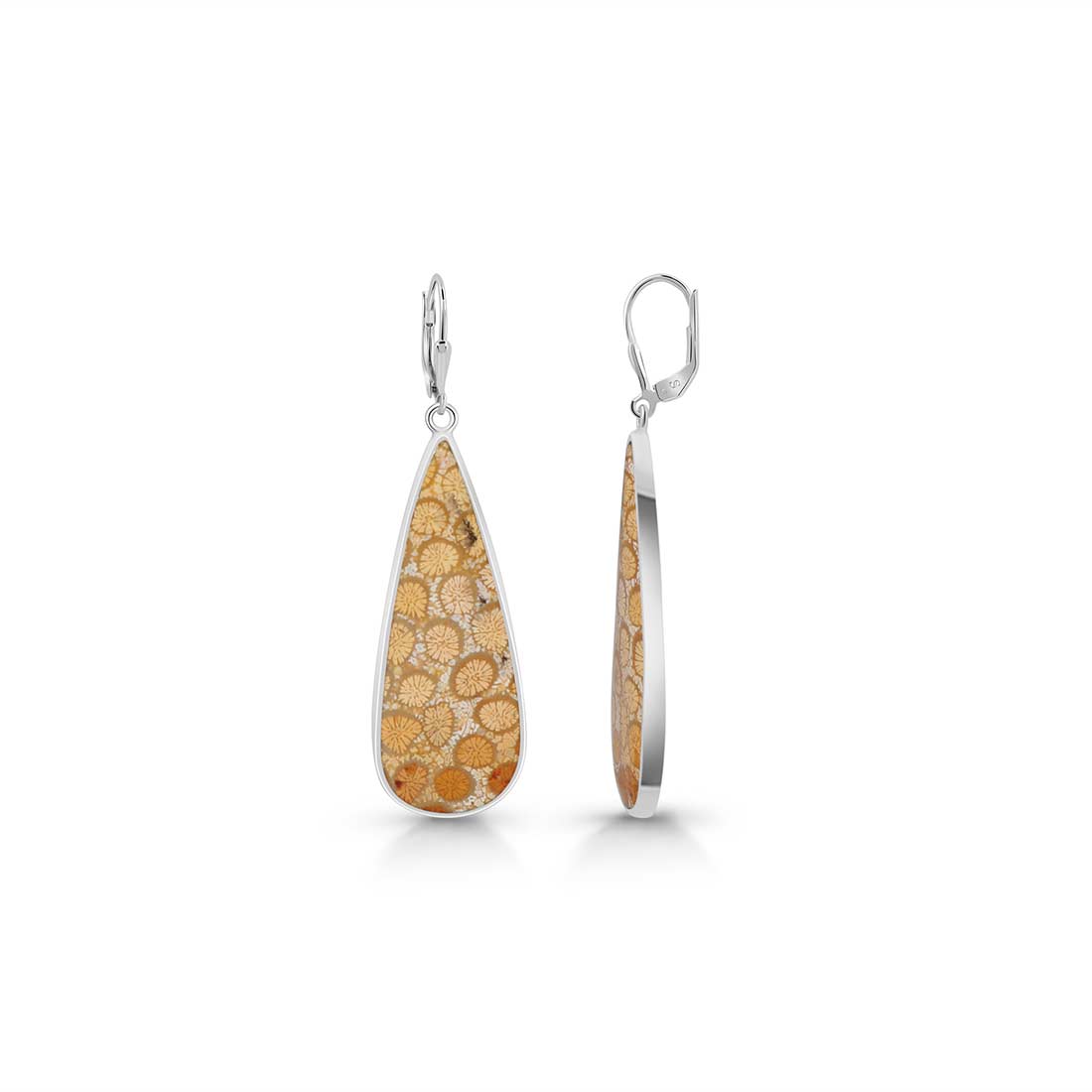 Fossilized Coral Earring-(FSC-E-15.)