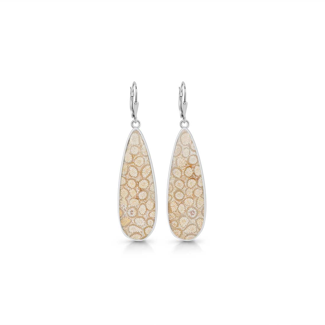 Fossilized Coral Earring-(FSC-E-16.)