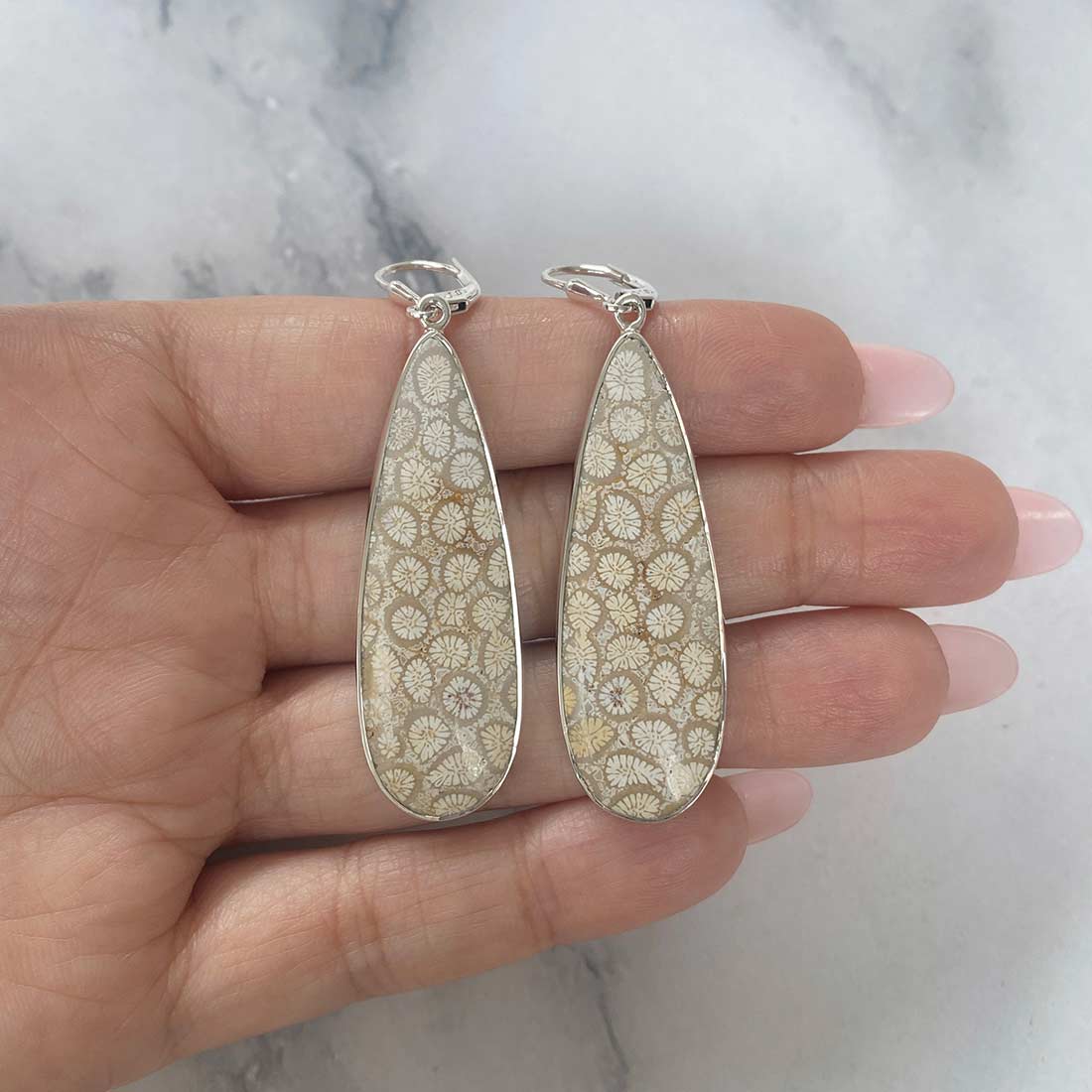 Fossilized Coral Earring-(FSC-E-16.)