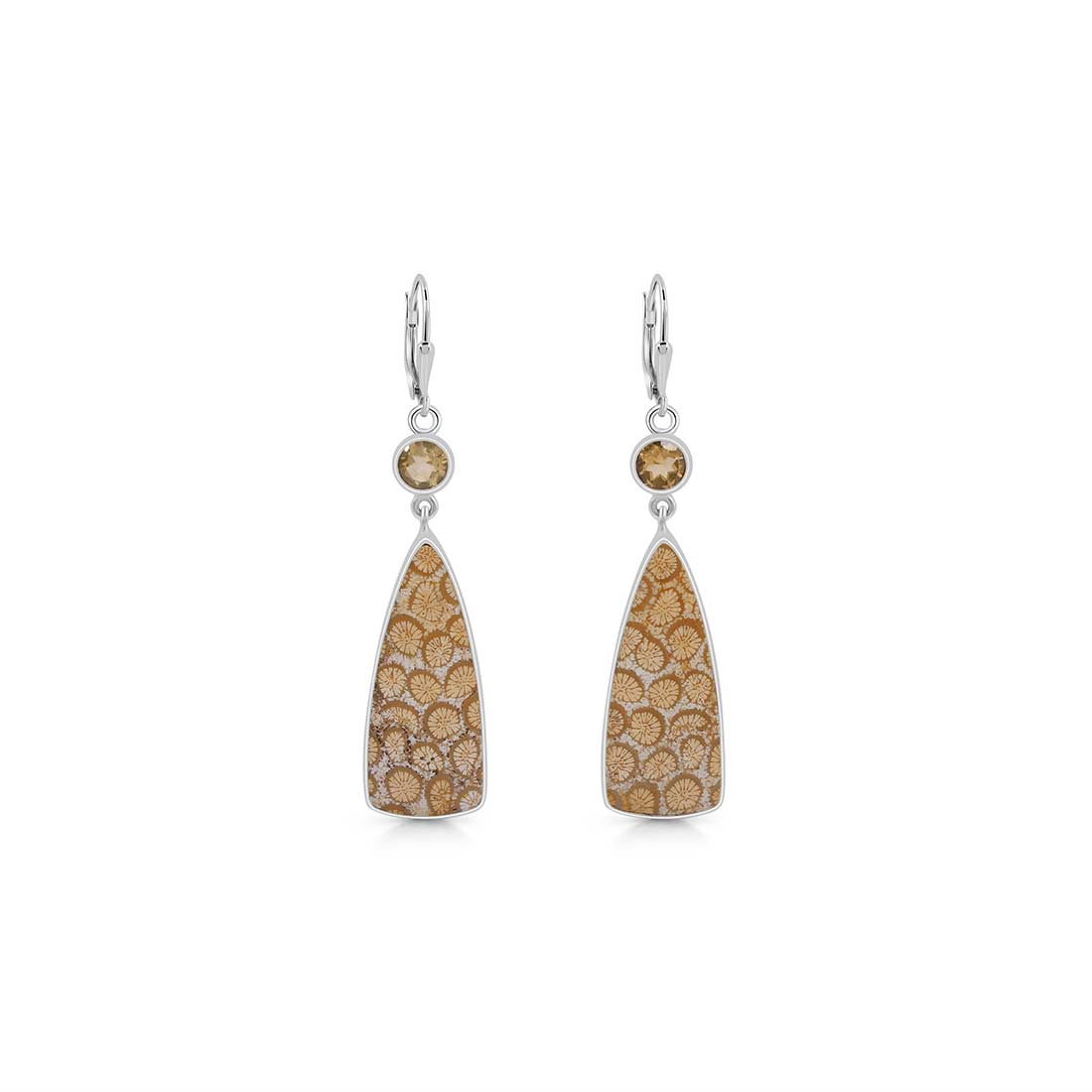 Fossilized Coral Earring-(FSC-E-2.)