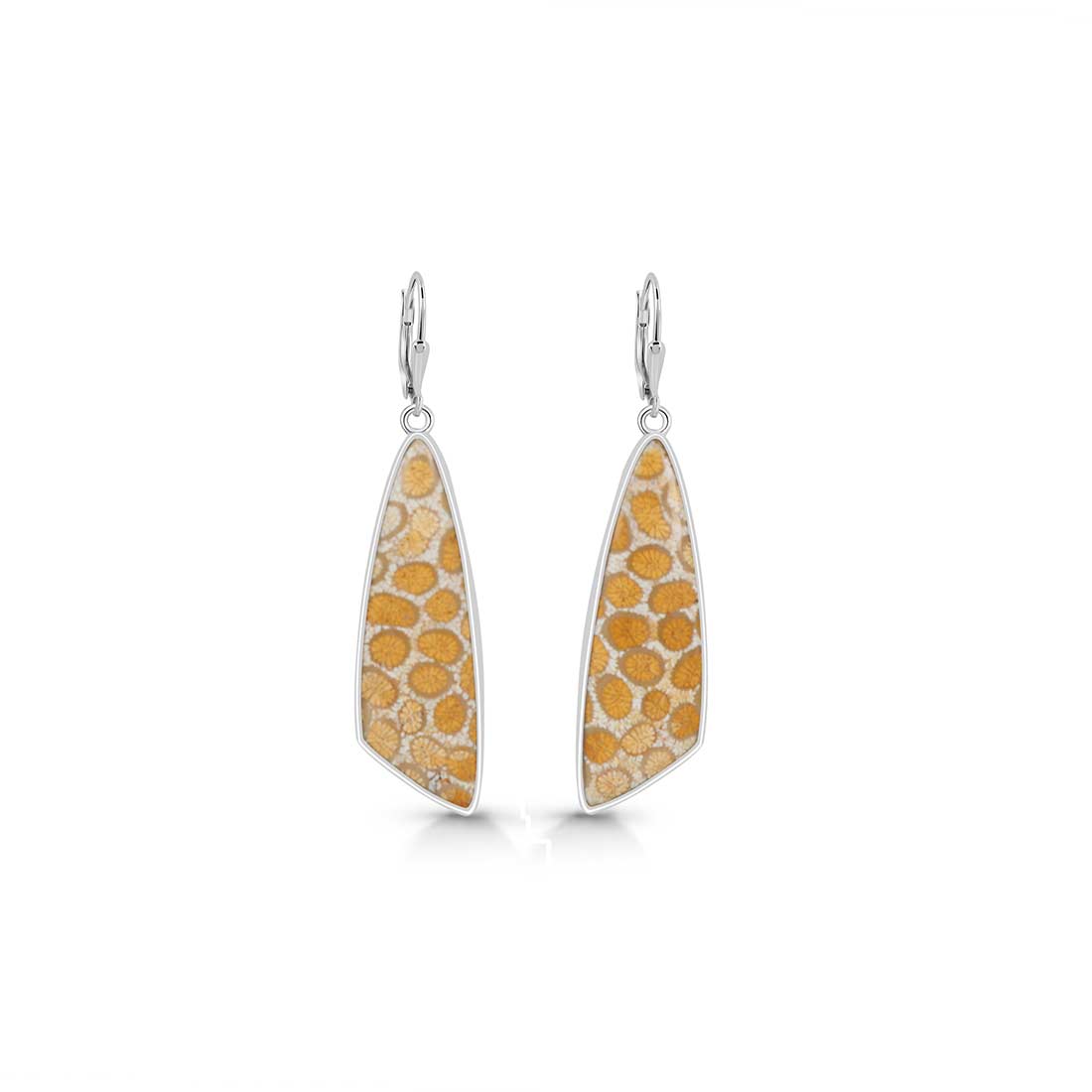 Fossilized Coral Earring-(FSC-E-22.)