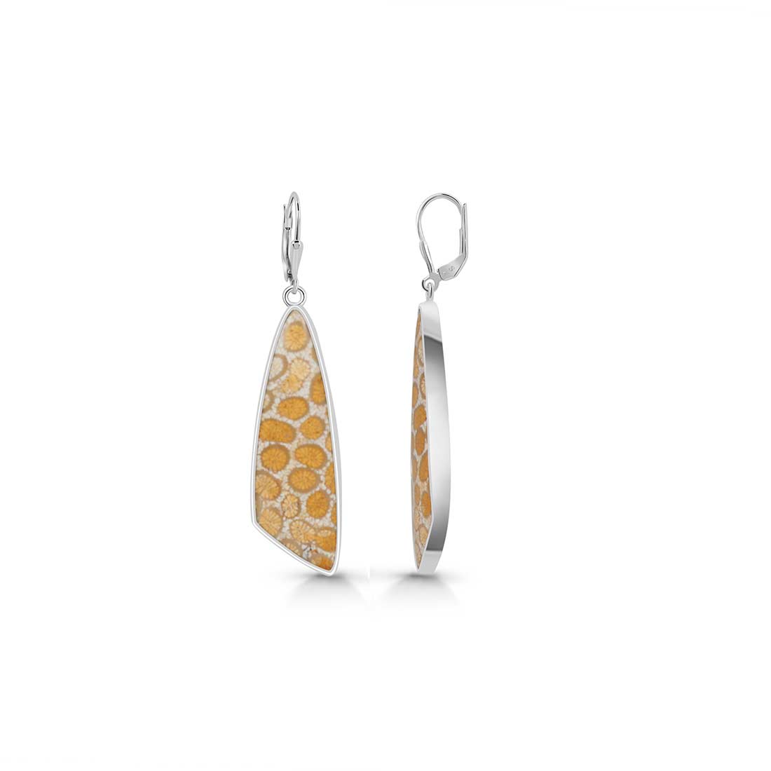 Fossilized Coral Earring-(FSC-E-22.)