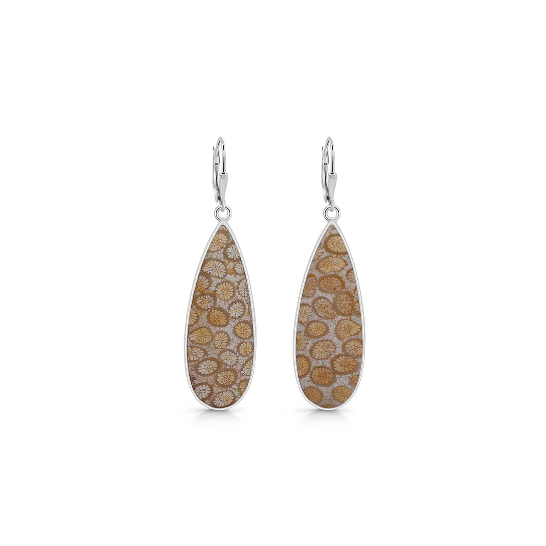 Fossilized Coral Earring-(FSC-E-5.)