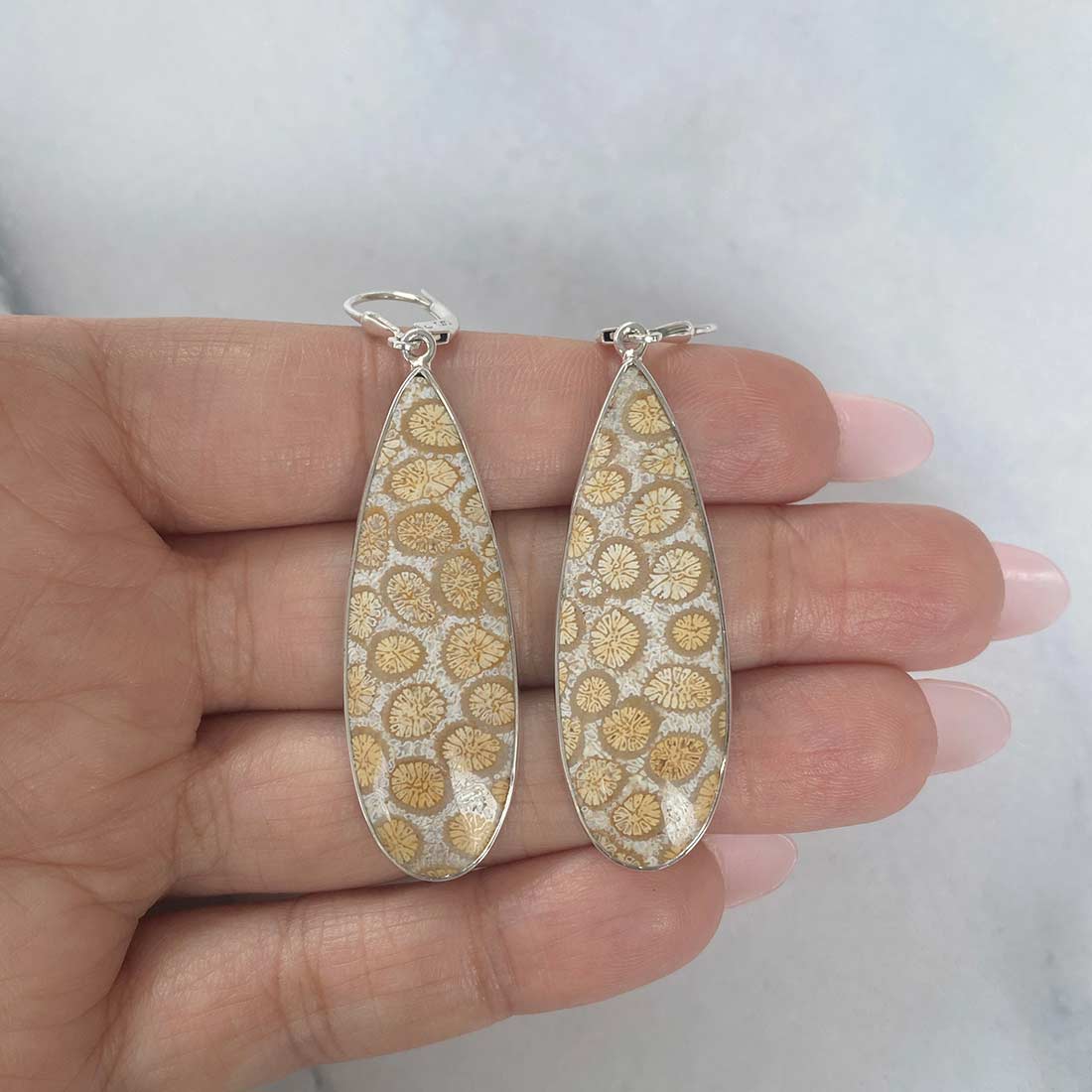 Fossilized Coral Earring-(FSC-E-5.)