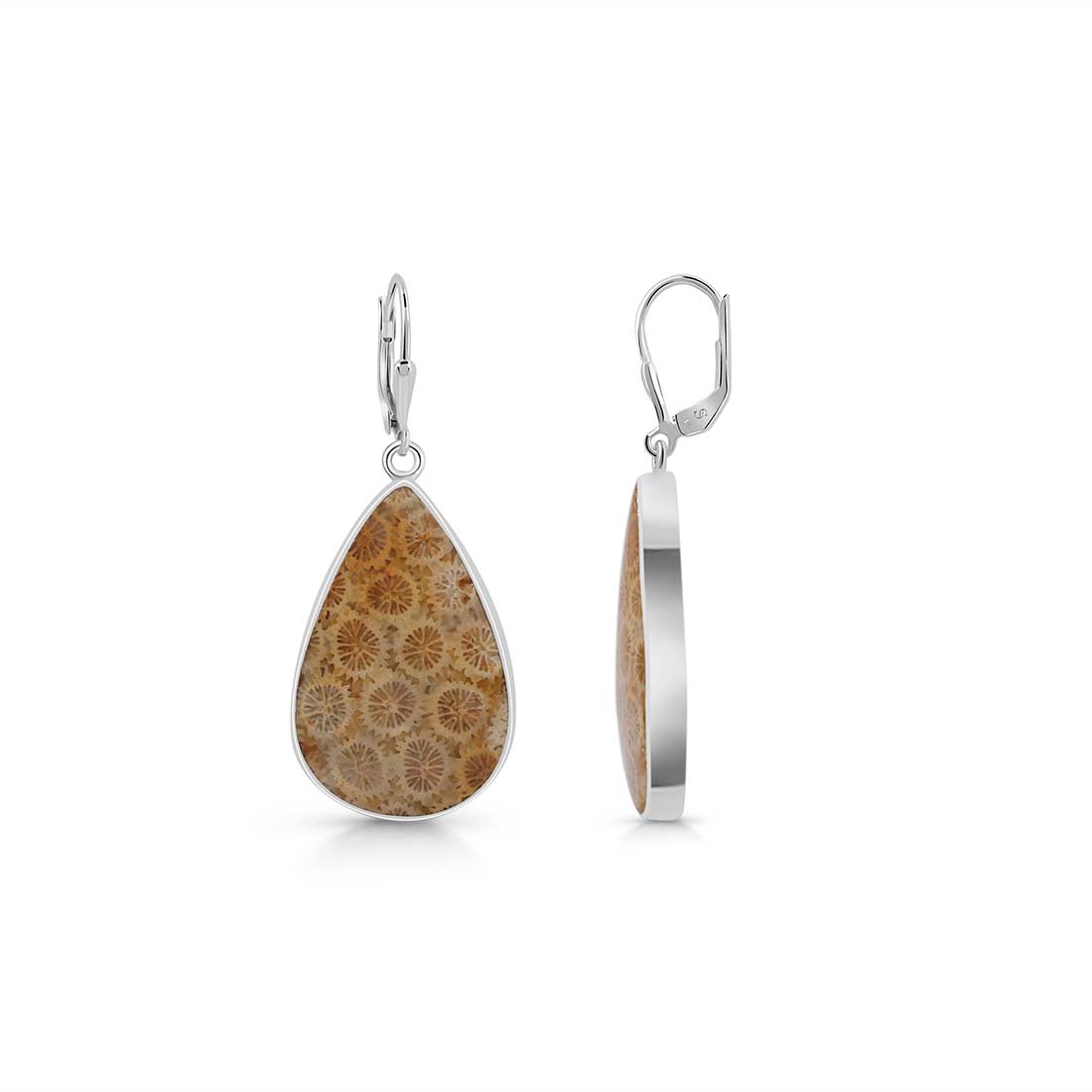 Fossilized Coral Earring-(FSC-E-6.)