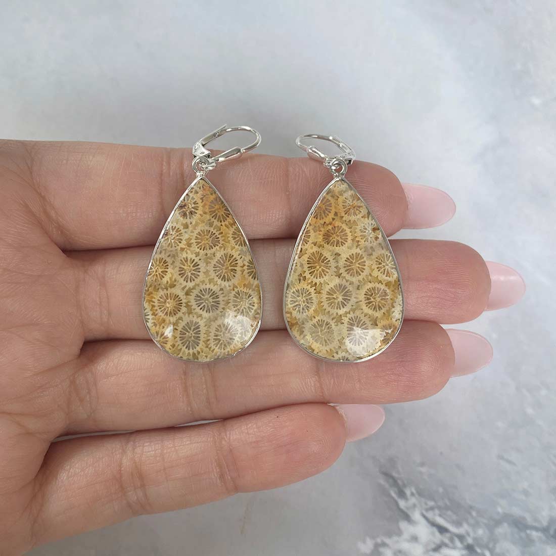 Fossilized Coral Earring-(FSC-E-6.)