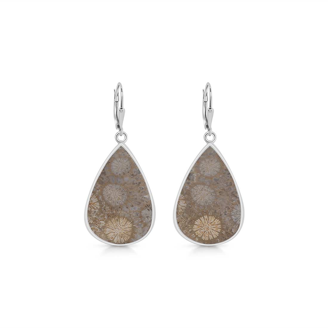 Fossilized Coral Earring-(FSC-E-7.)