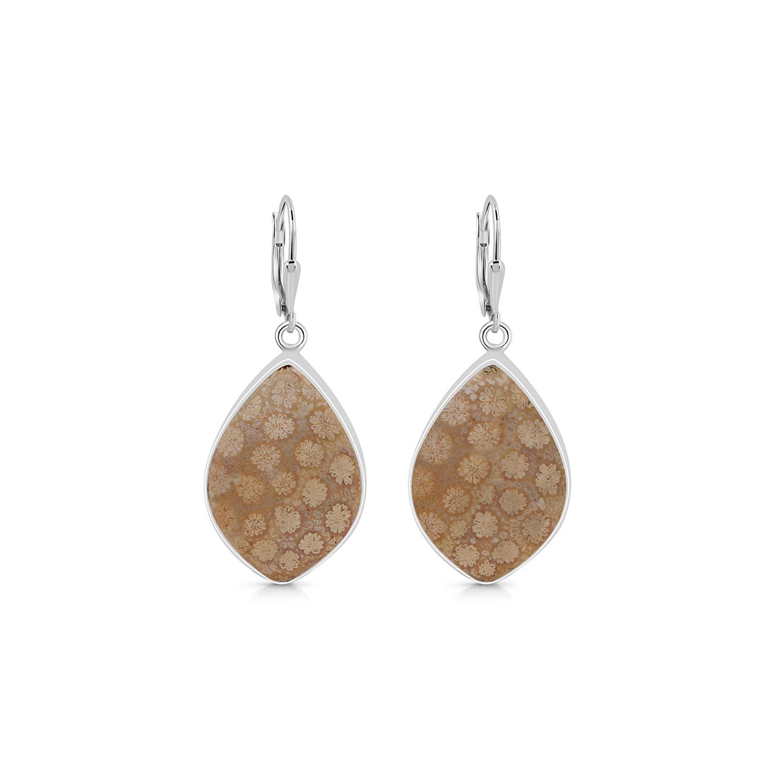 Fossilized Coral Earrings-(FSC-E-9.)