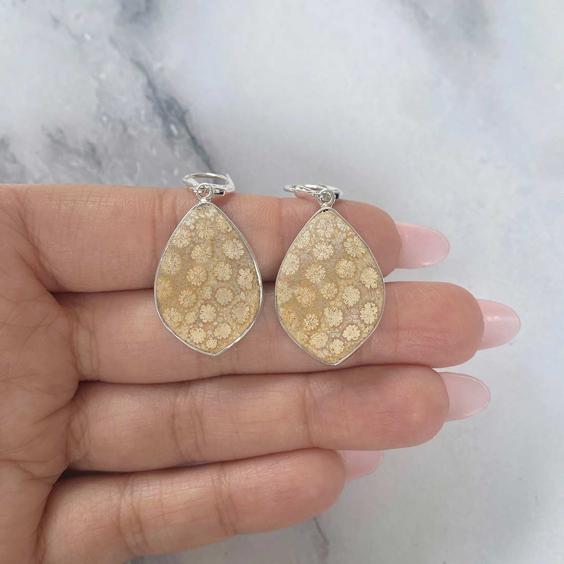 Fossilized Coral Earrings-(FSC-E-9.)
