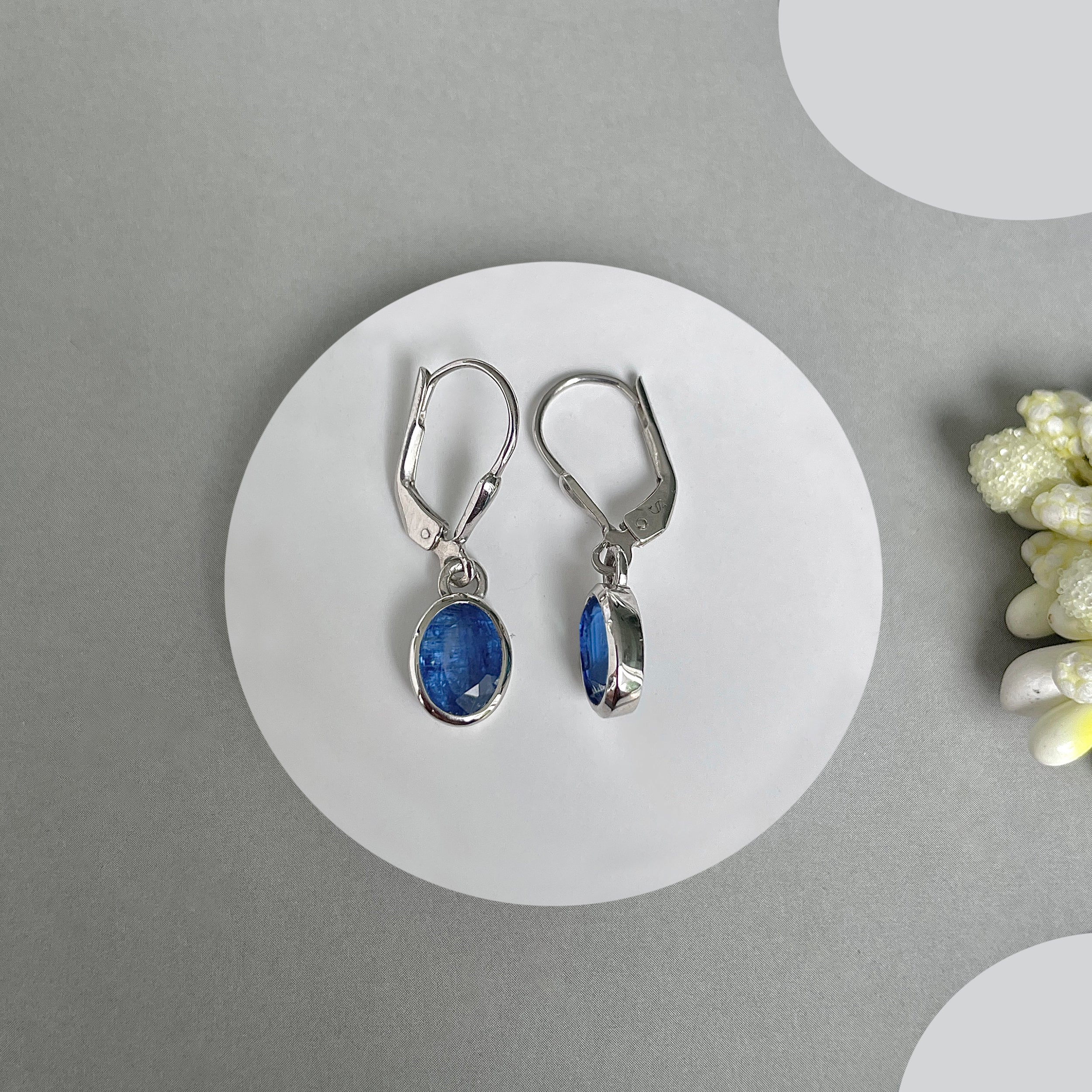 Kyanite Leverback Earrings-(KYN-SE-547.)