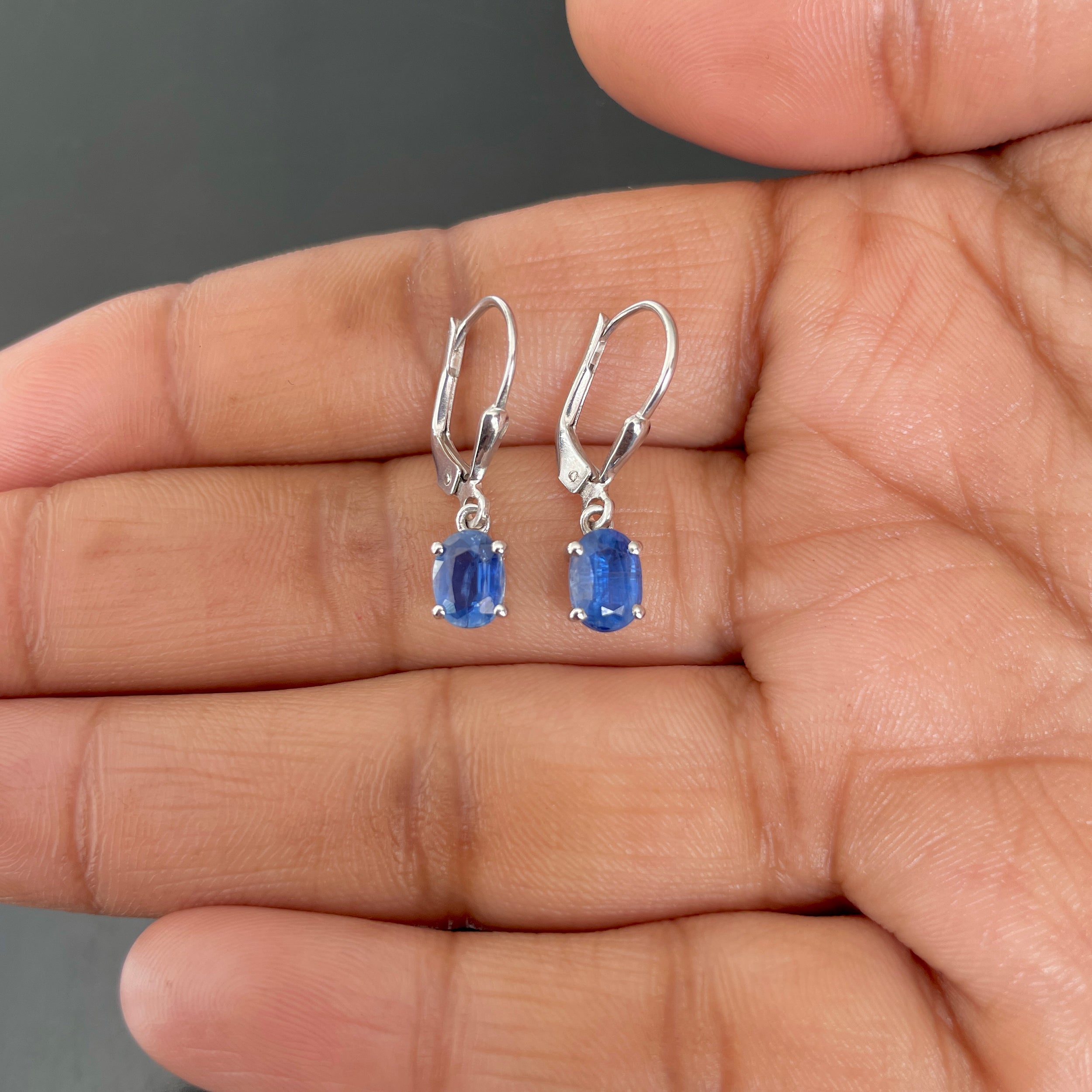 Kyanite Leverback Earrings-(KYN-SE-670.)