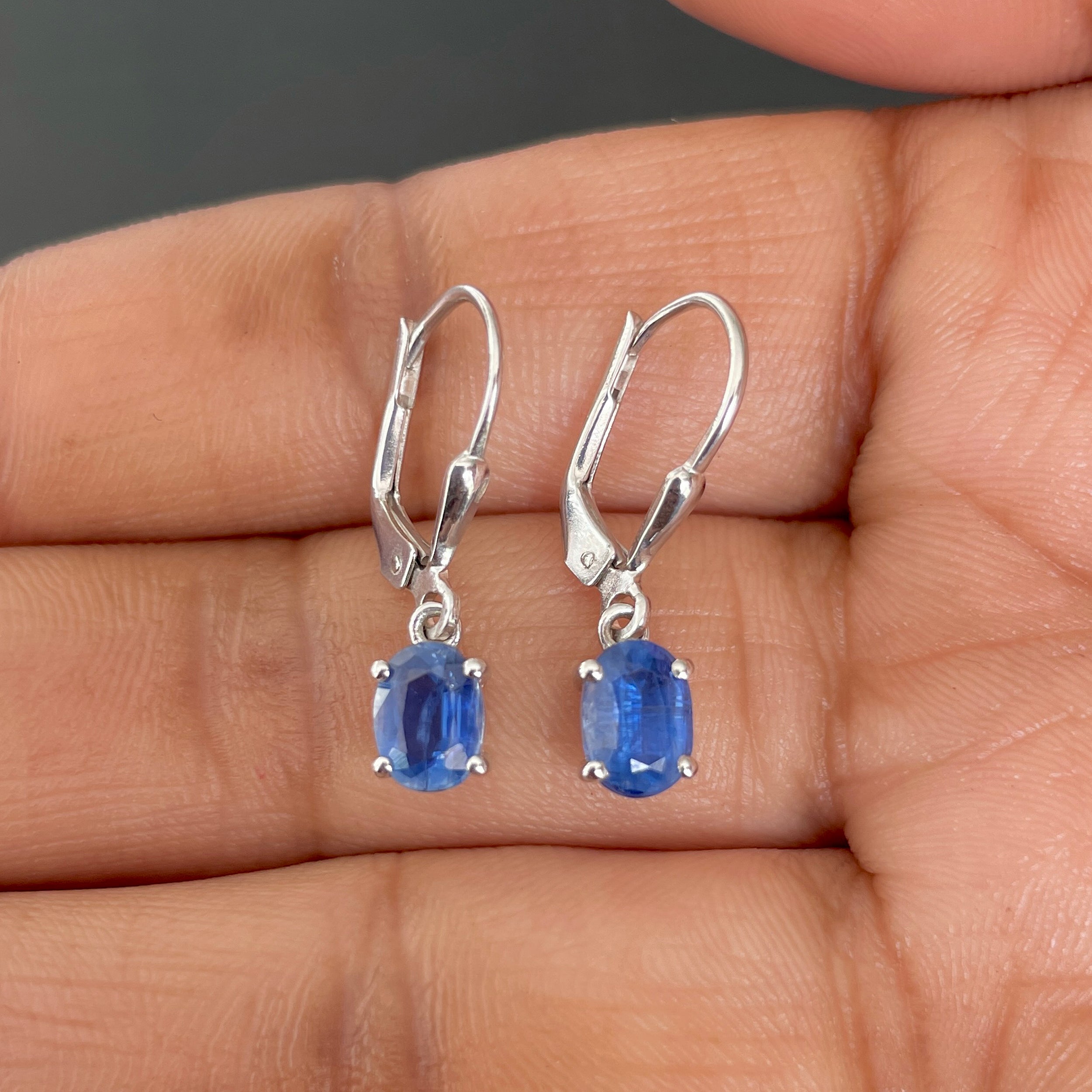 Kyanite Leverback Earrings-(KYN-SE-670.)