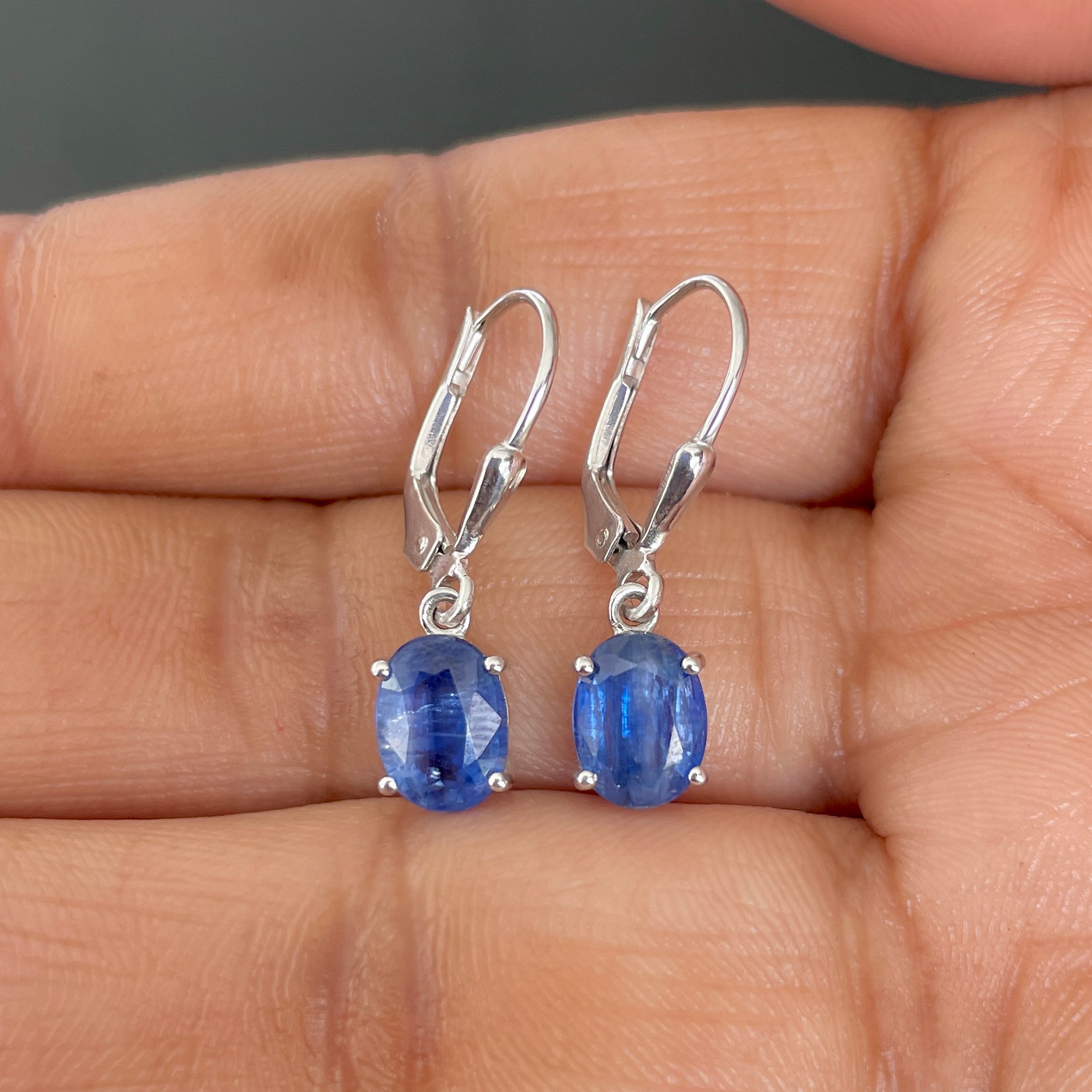 Kyanite Leverback Earrings-(KYN-SE-673.)