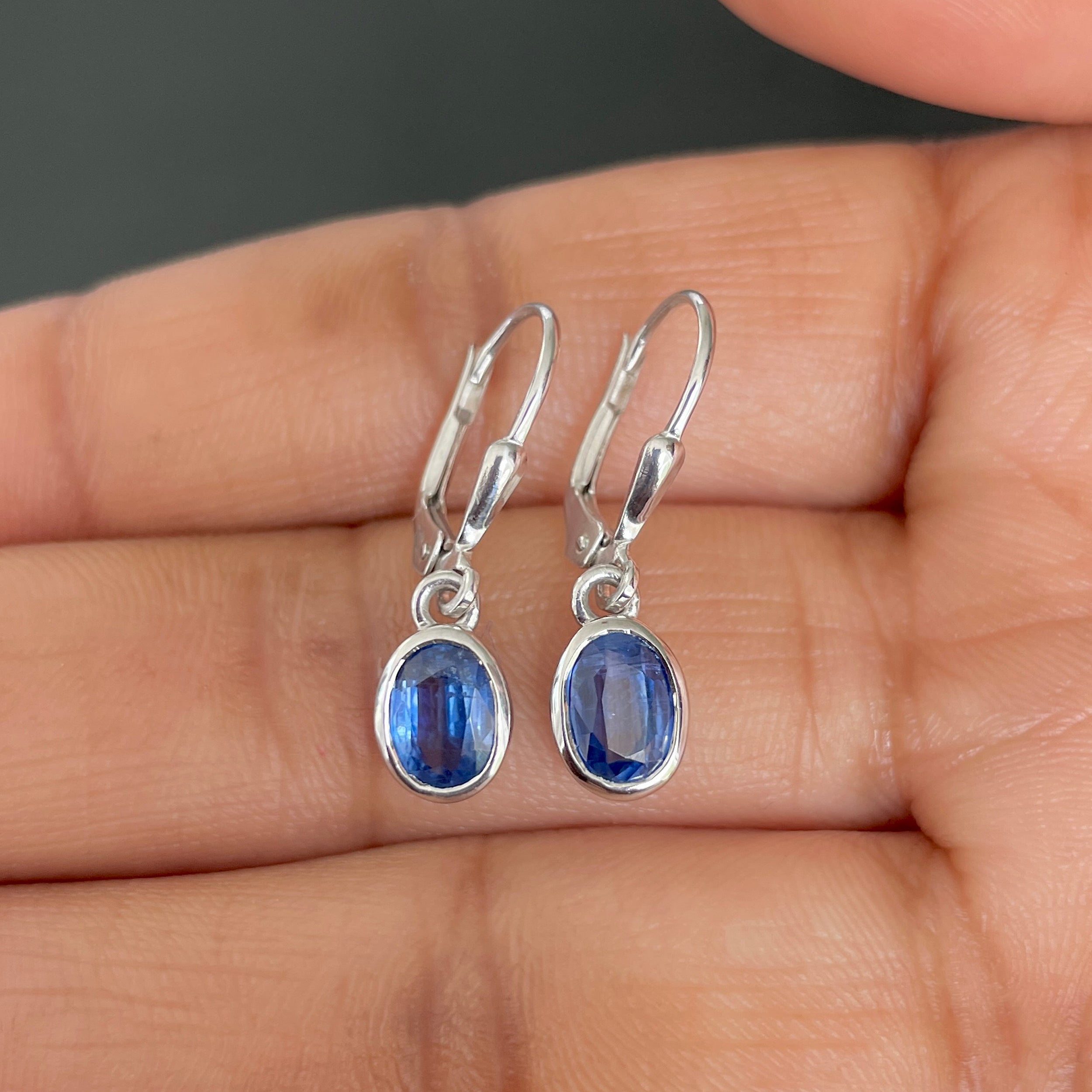Kyanite Leverback Earring-(KYN-SE-1316-B.)