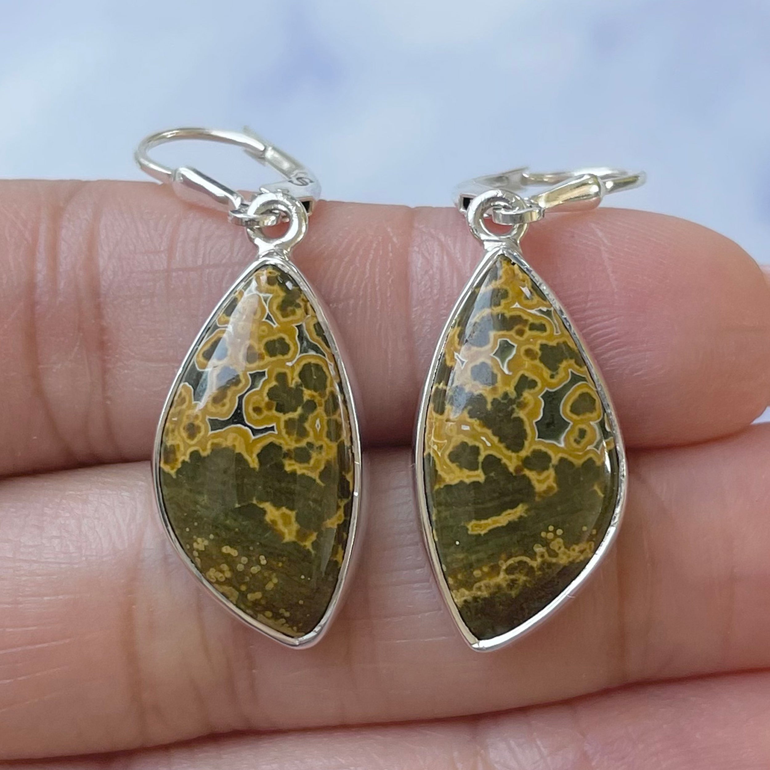 Ocean Jasper Earring-(OCJ-E-31.)