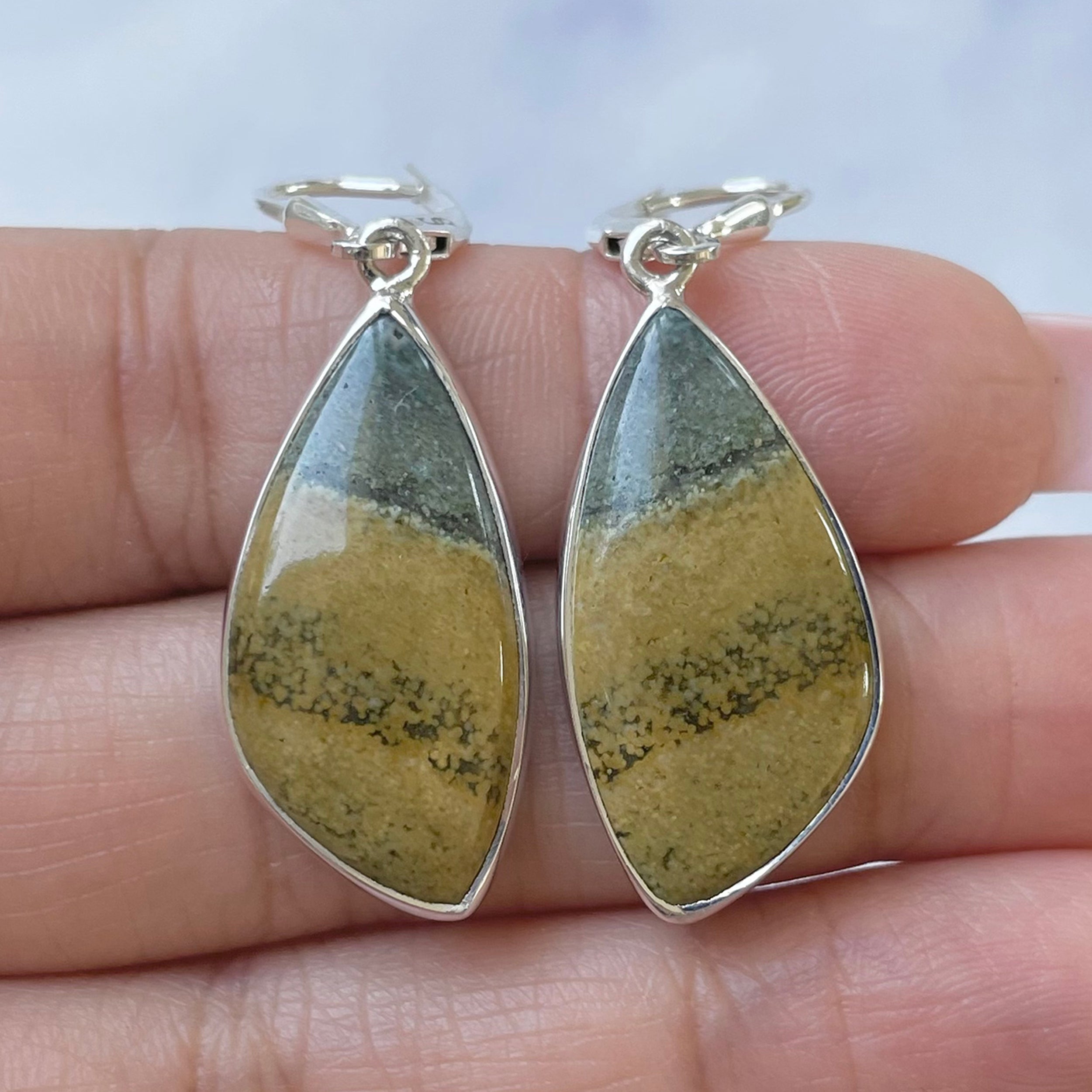 Ocean Jasper Earring-(OCJ-E-35.)