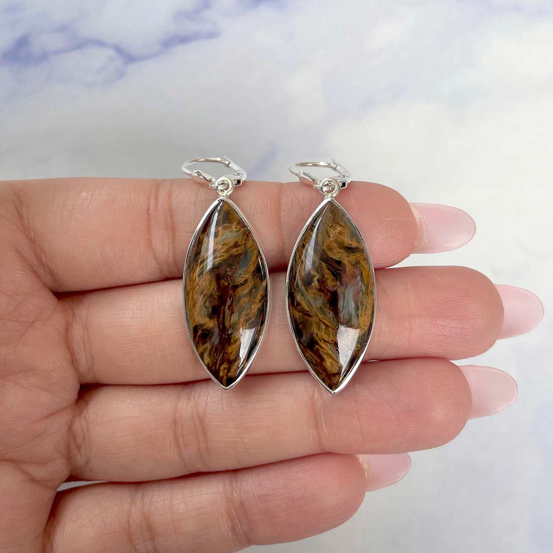 Pietersite Earring-(PIT-E-22.)