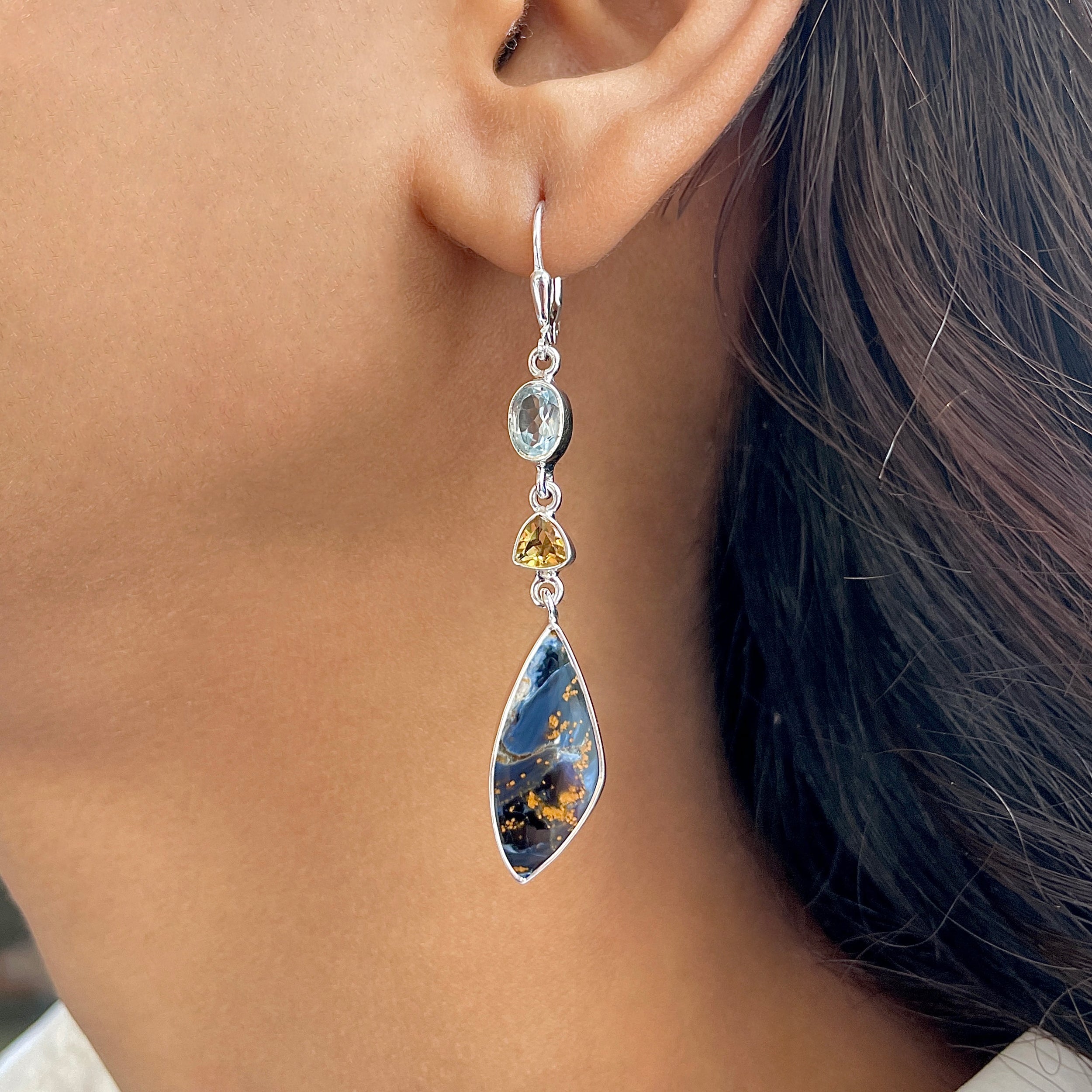 Pietersite Earring-(PIT-E-69.)