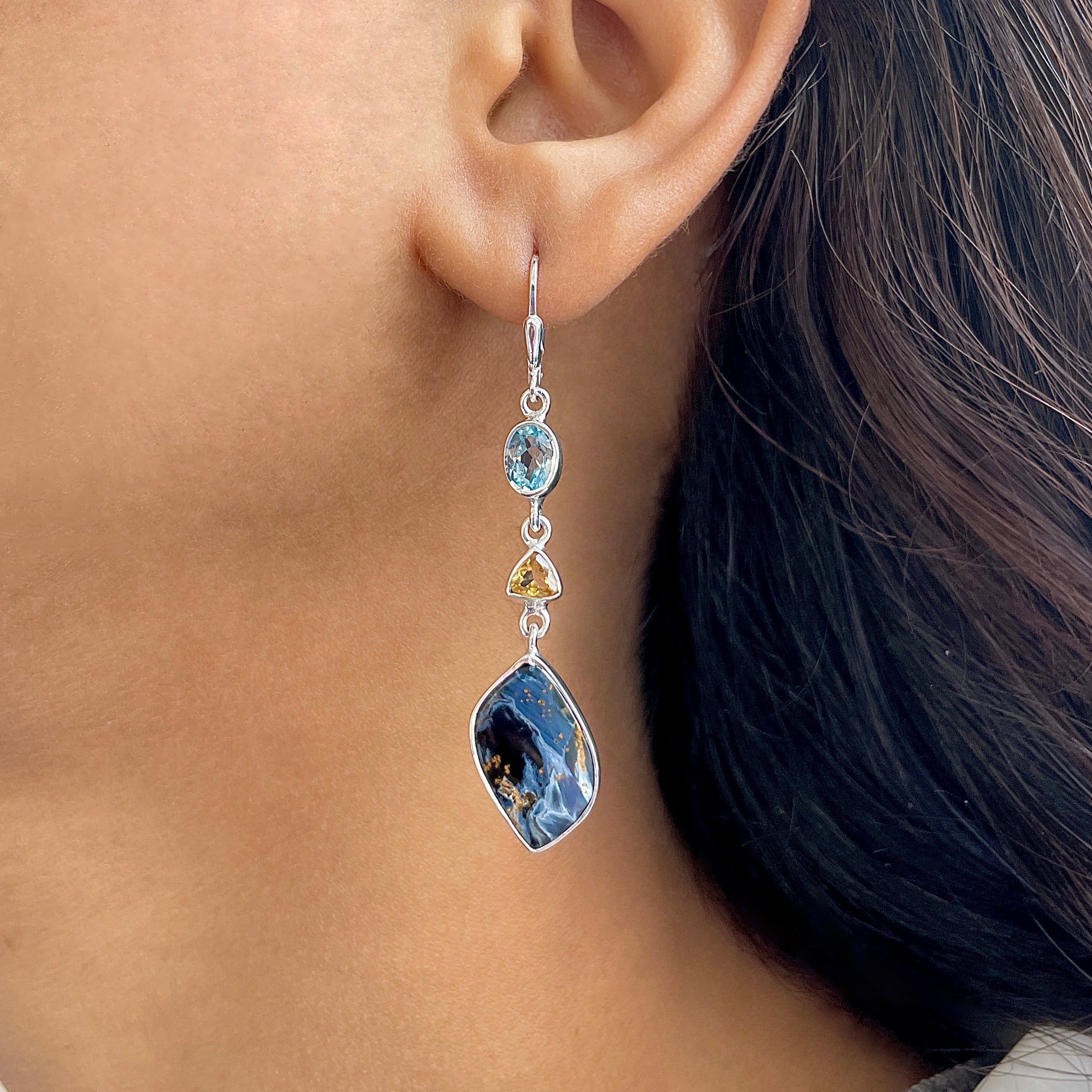 Pietersite Earring-(PIT-E-75.)