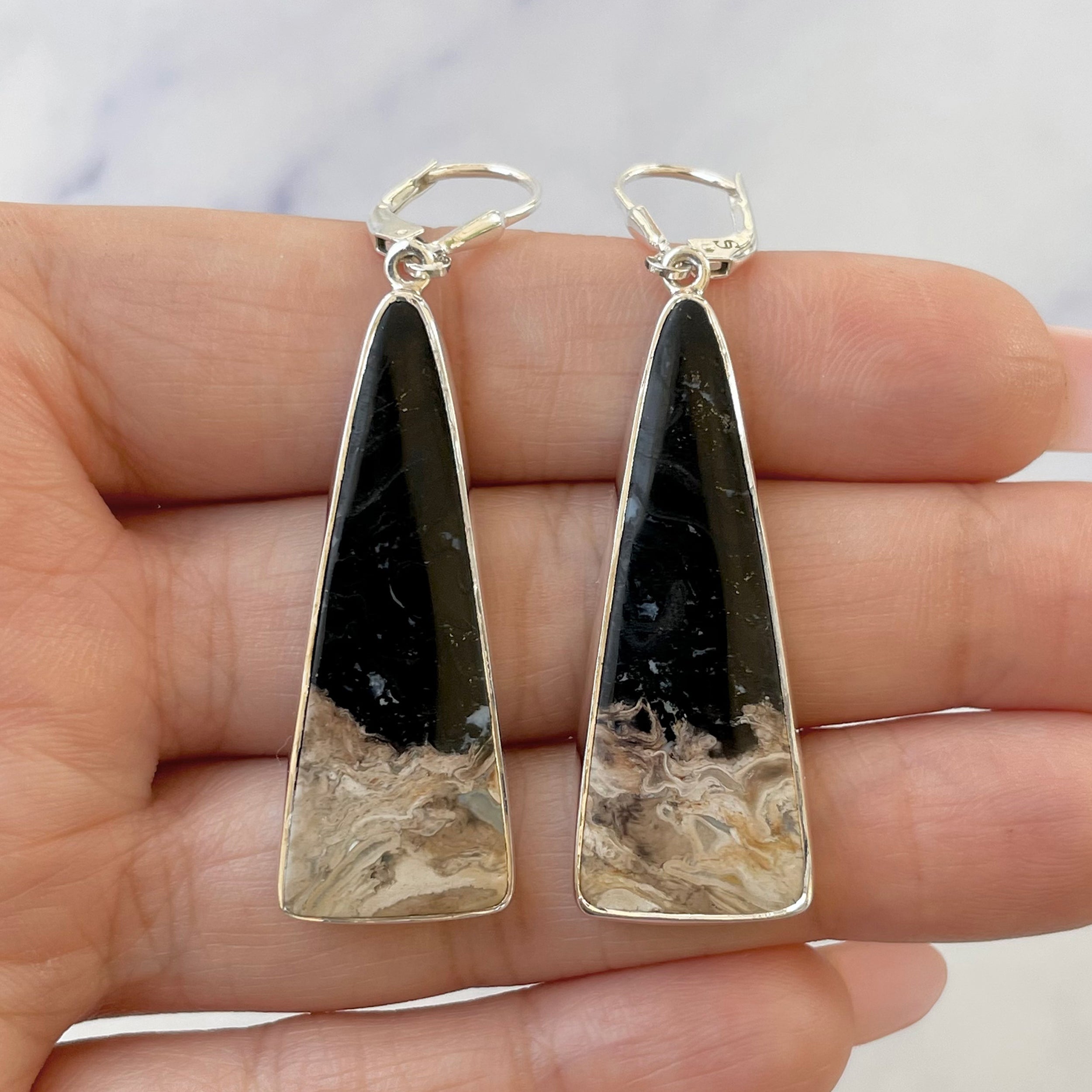Petrified Wood Earring-(PTF-E-13.)