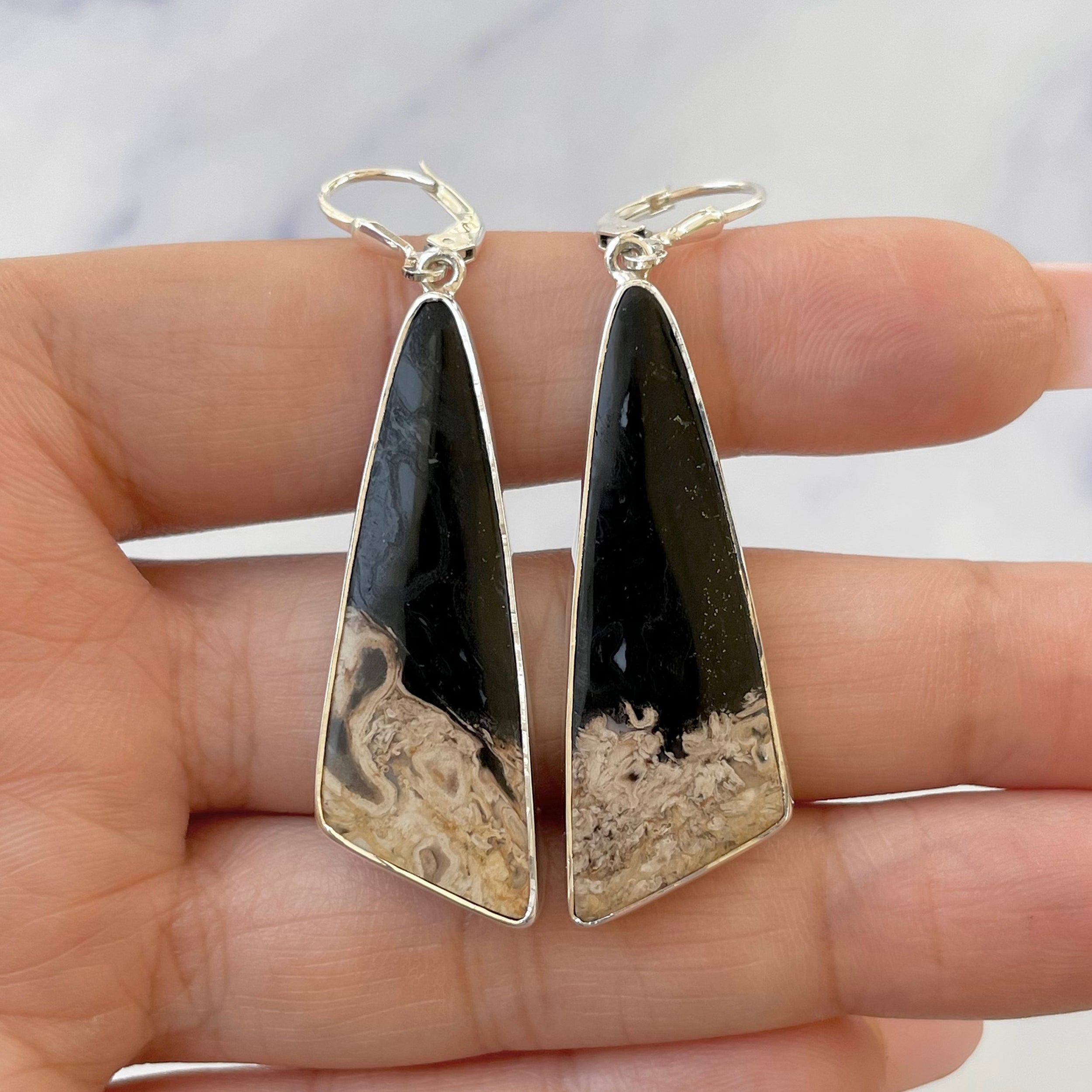 Petrified Wood Earring-(PTF-E-14.)