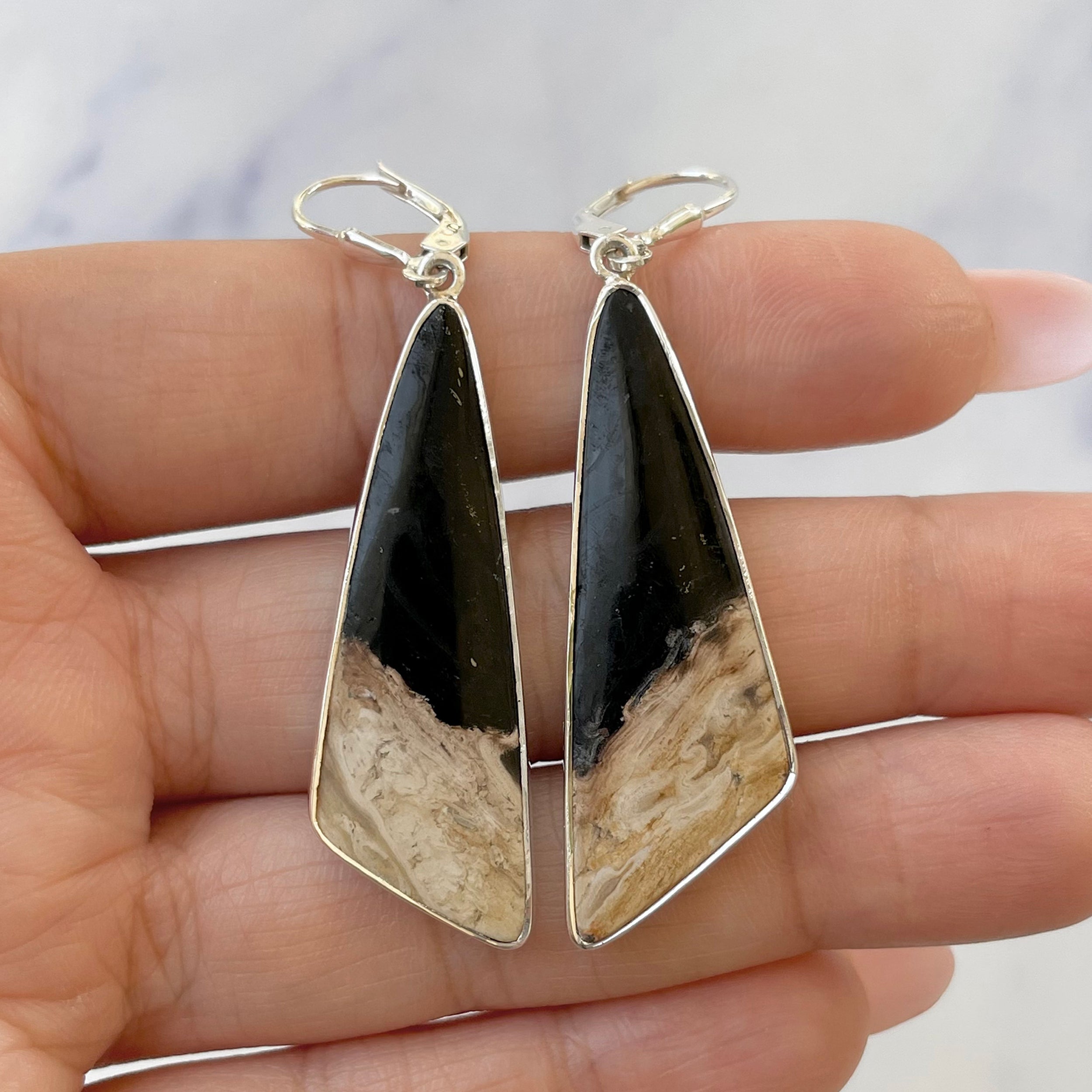 Petrified Wood Earring-(PTF-E-15.)