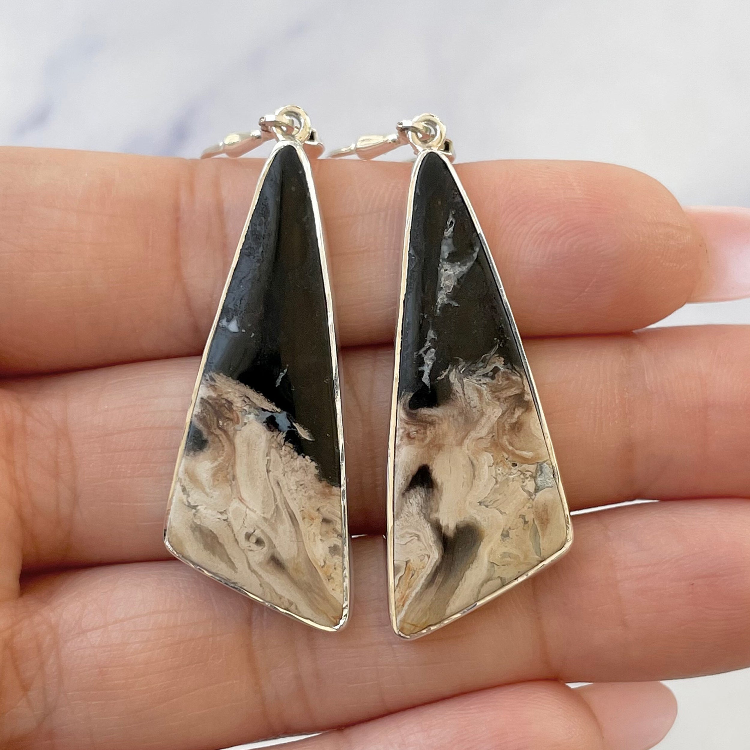 Petrified Wood Earring-(PTF-E-17.)