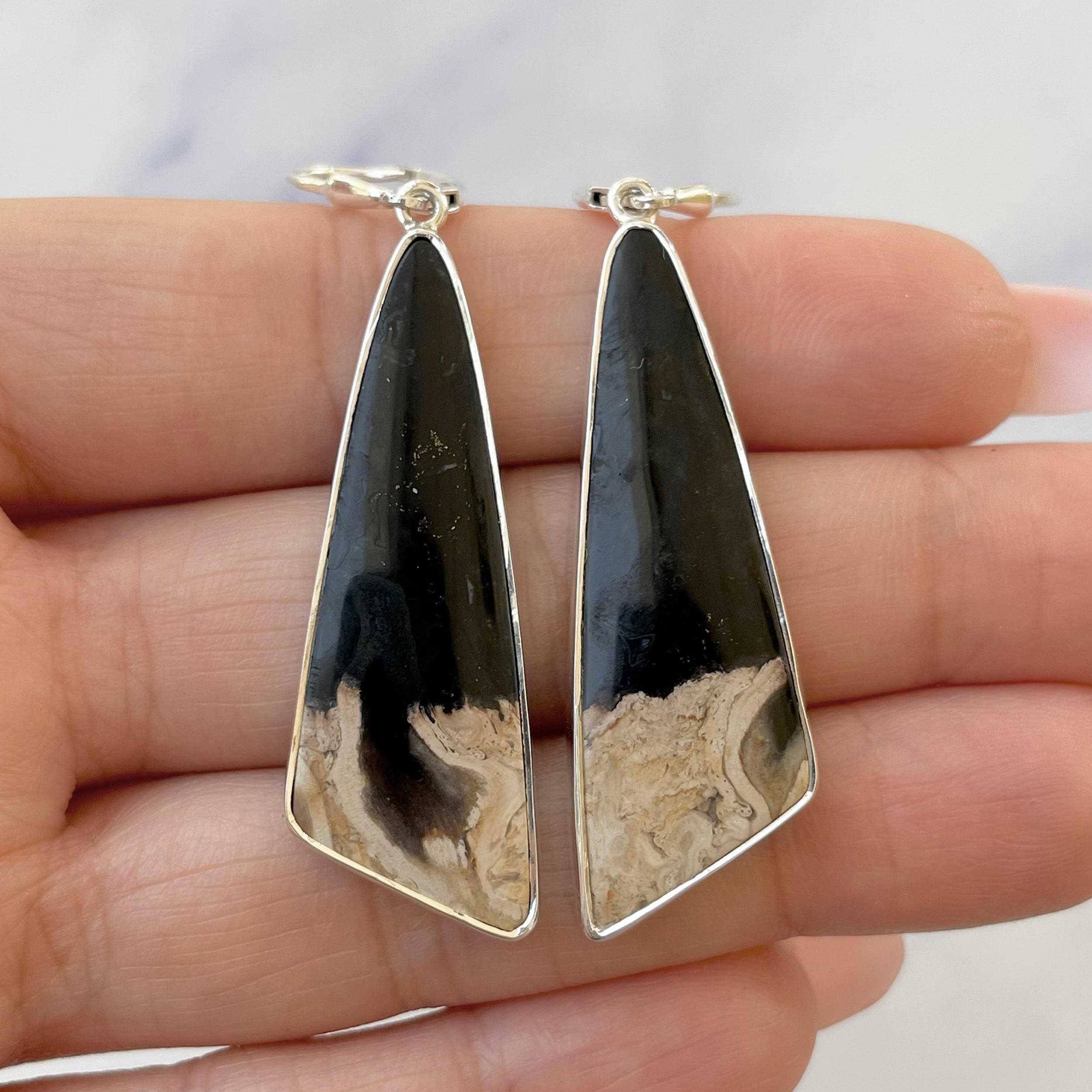 Petrified Wood Earring-(PTF-E-2.)