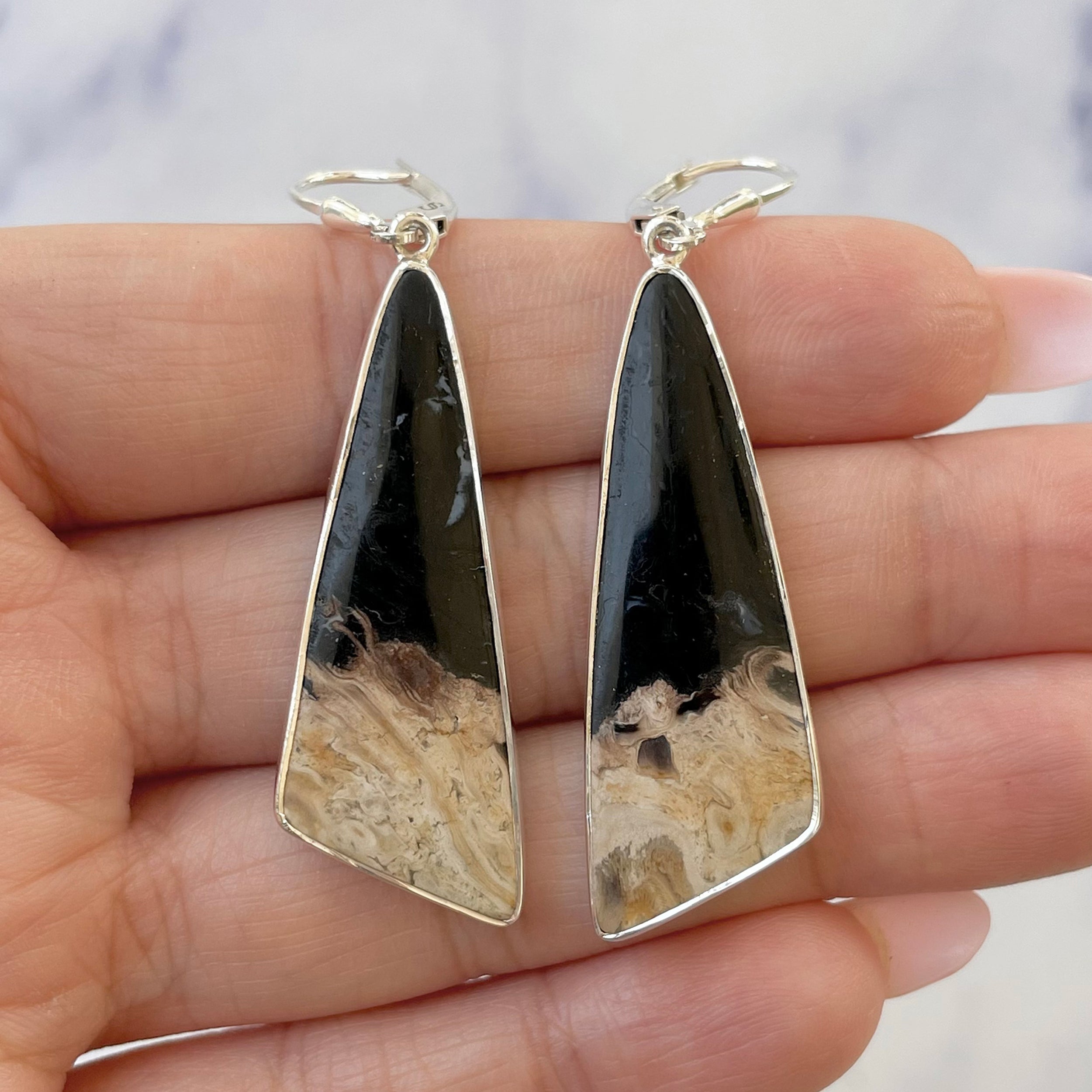 Petrified Wood Earring-(PTF-E-3.)