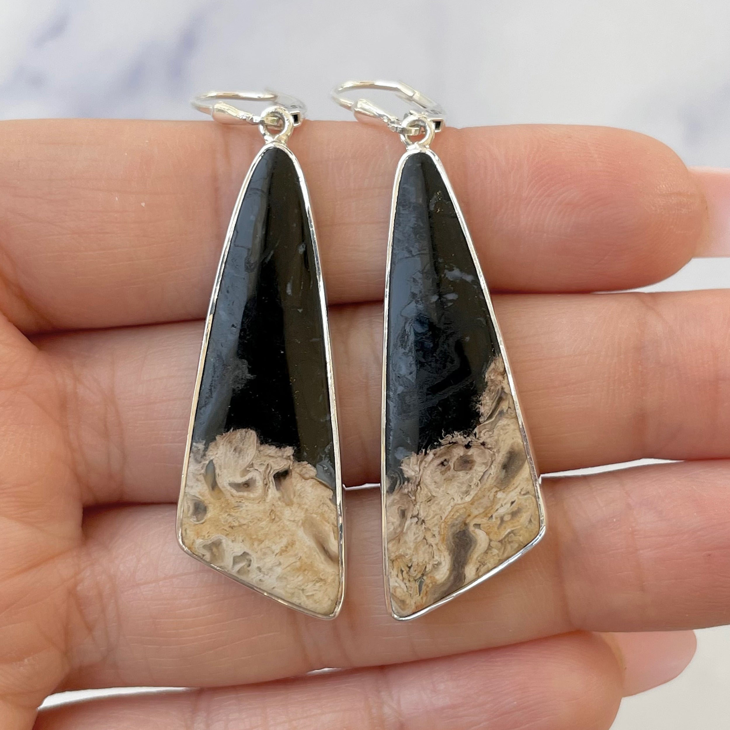 Petrified Wood Earring-(PTF-E-4.)