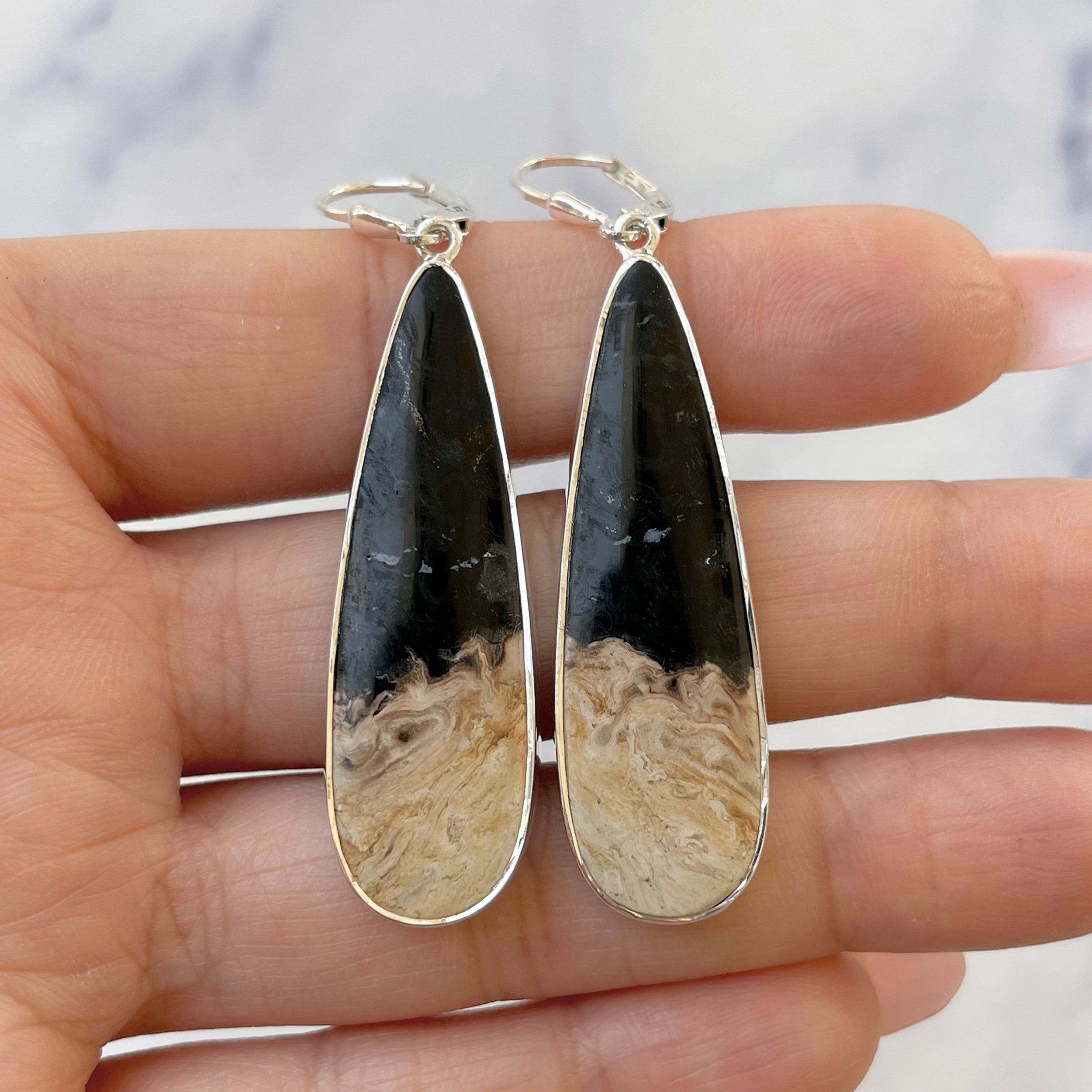 Petrified Wood Earring-(PTF-E-5.)