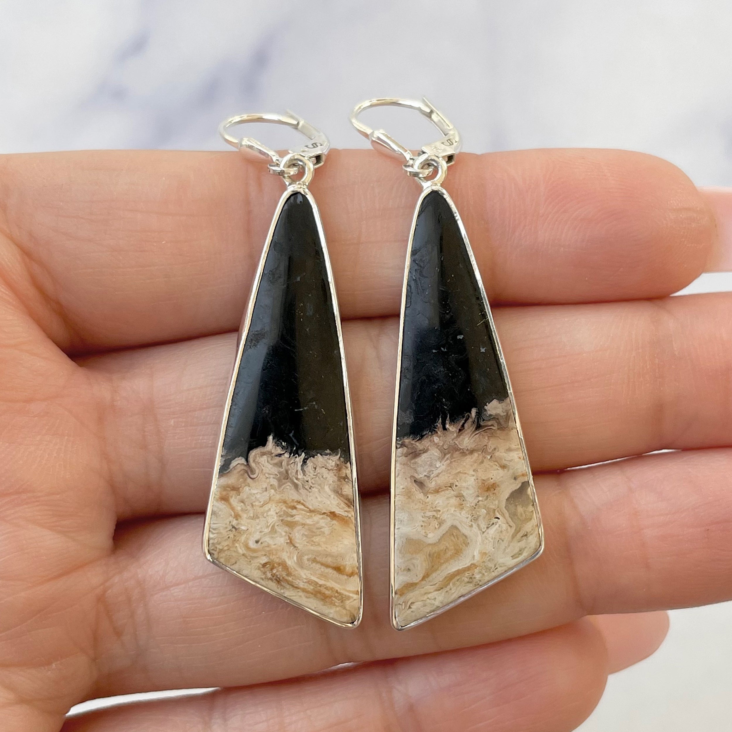 Petrified Wood Earring-(PTF-E-7.)