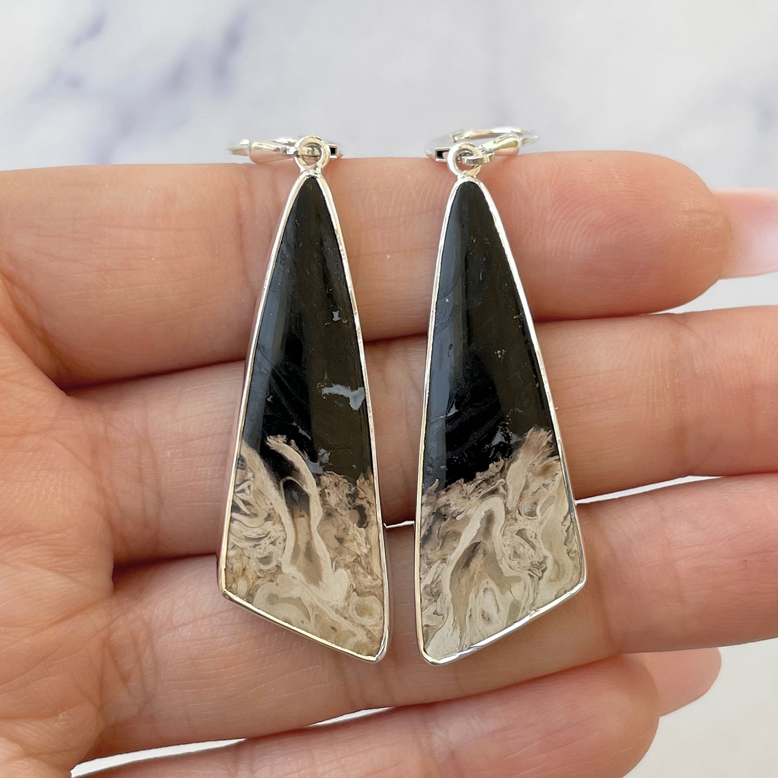 Petrified Wood Earring-(PTF-E-8.)