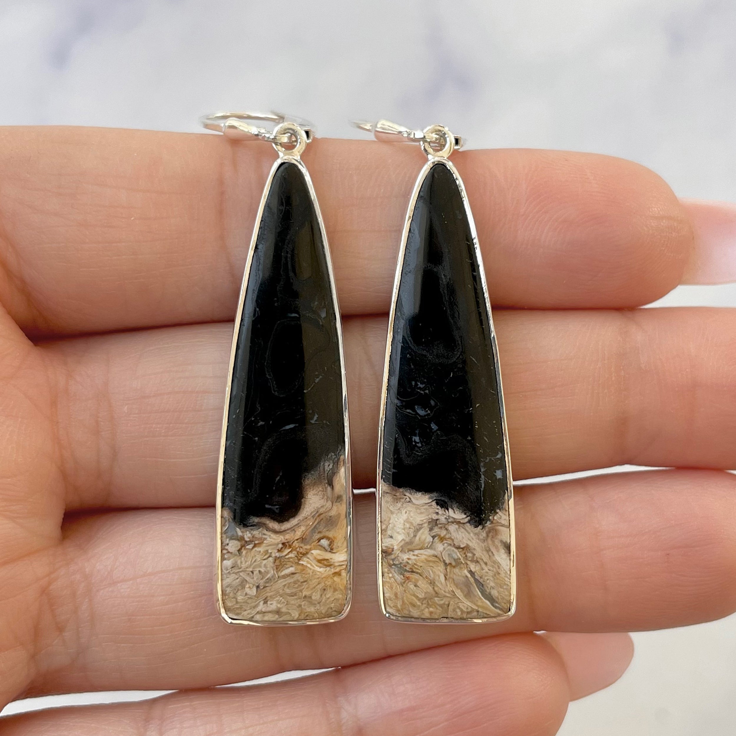 Petrified Wood Earring-(PTF-E-9.)