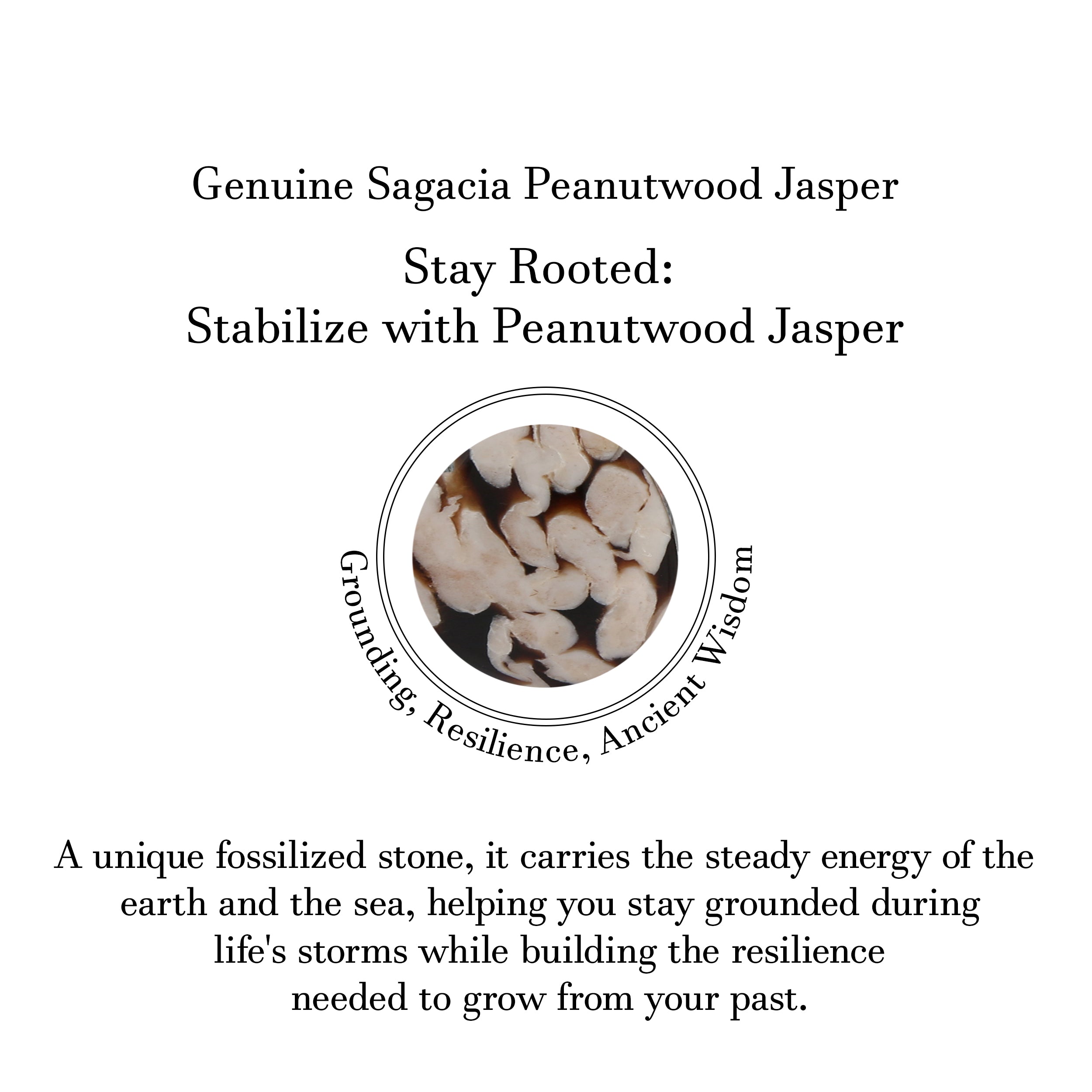 Peanutwood Jasper Earring-(PWJ-E-13.)